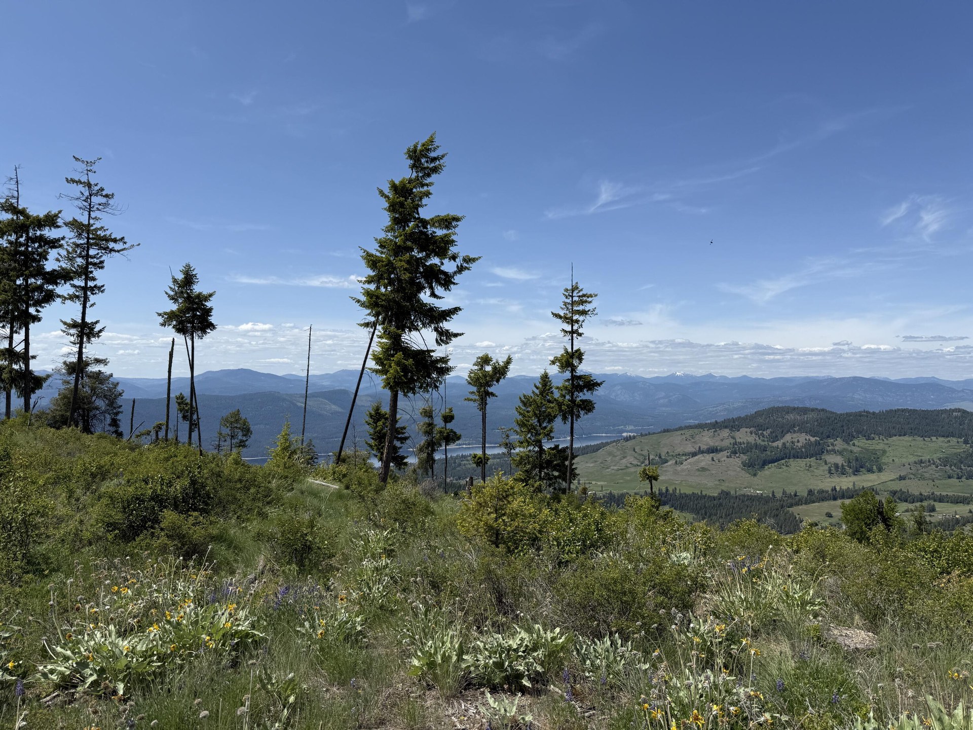 
                        Property photograph at
                        3774-C DAISY MINE RD
                      