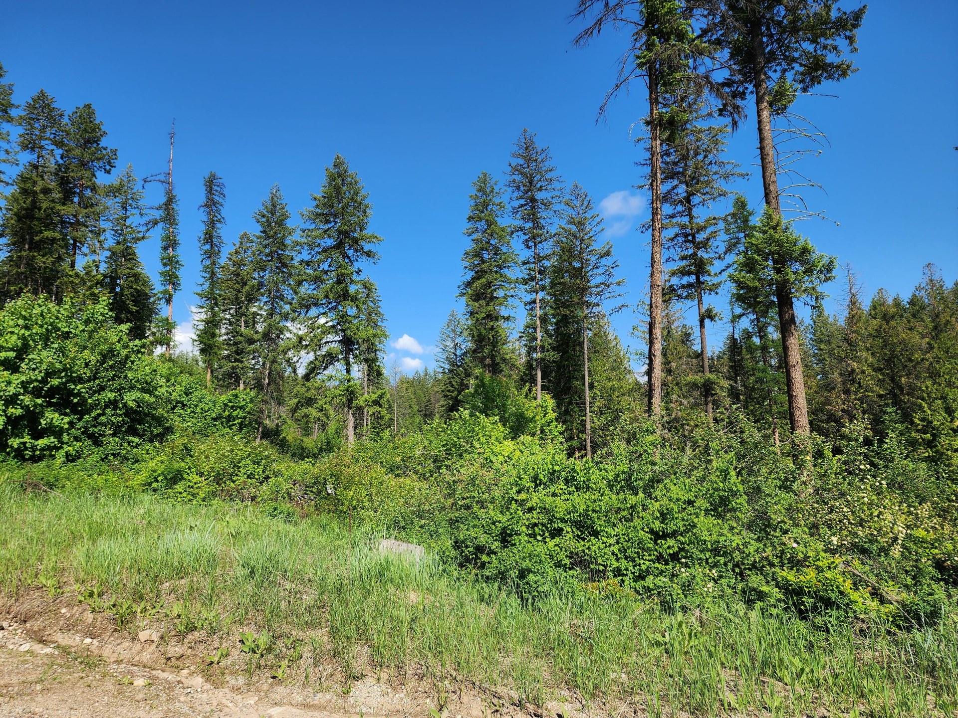 
                        Property photograph at
                        LOT 4 MATSEN CREEK RD
                      
