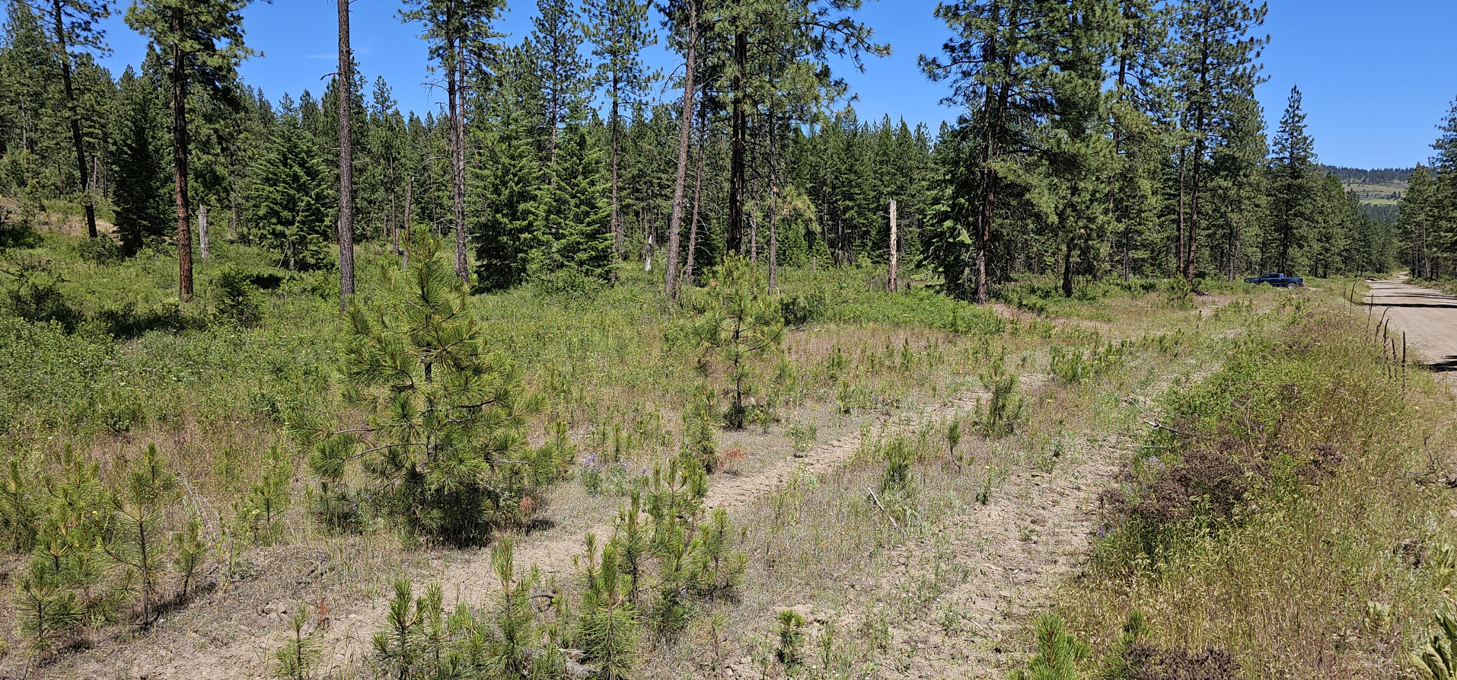 
                        Property photograph at
                        20X LYNX CREEK RD
                      