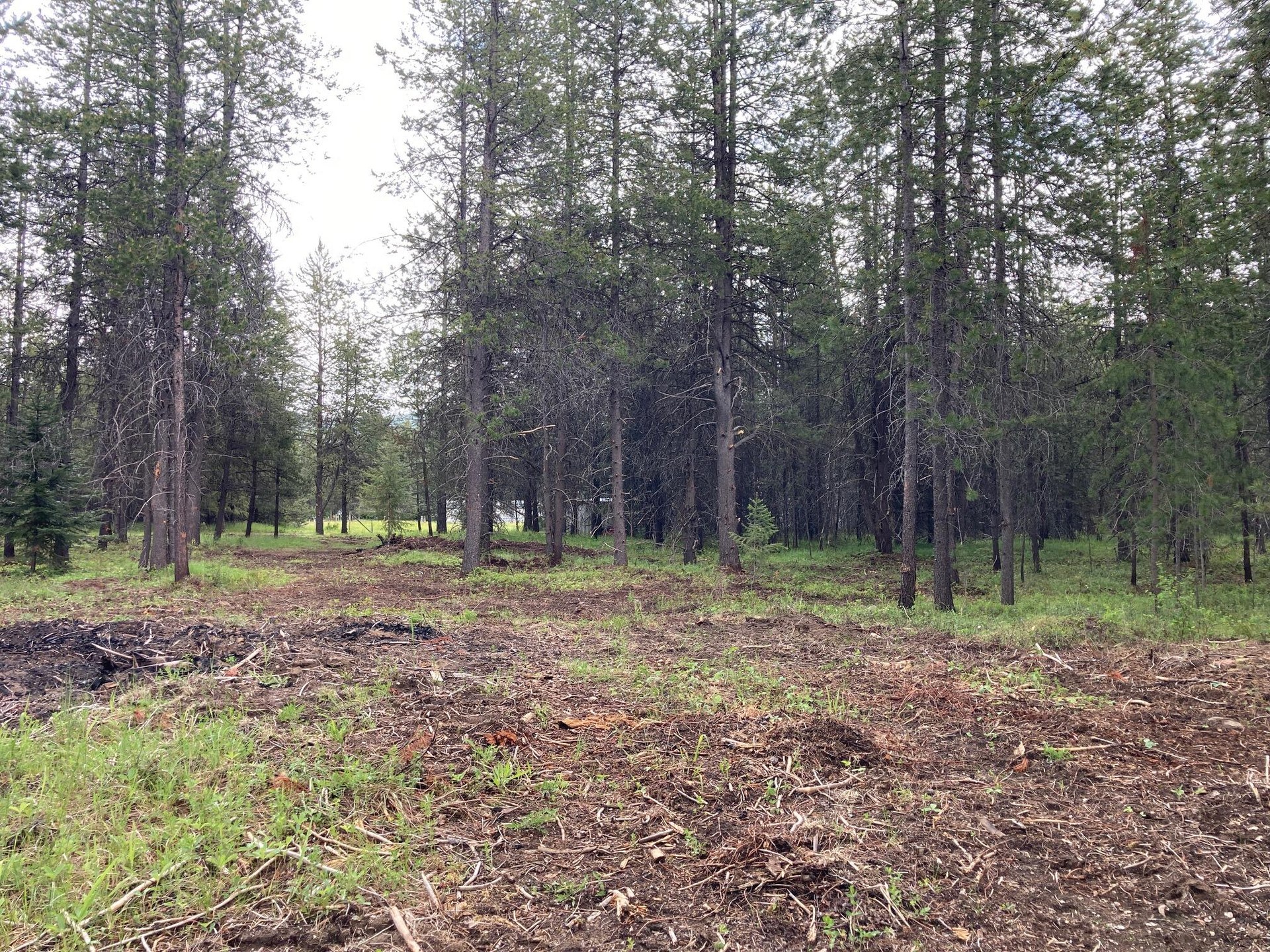 
                        Property photograph at
                        1496 E HWY 20 XX
                      