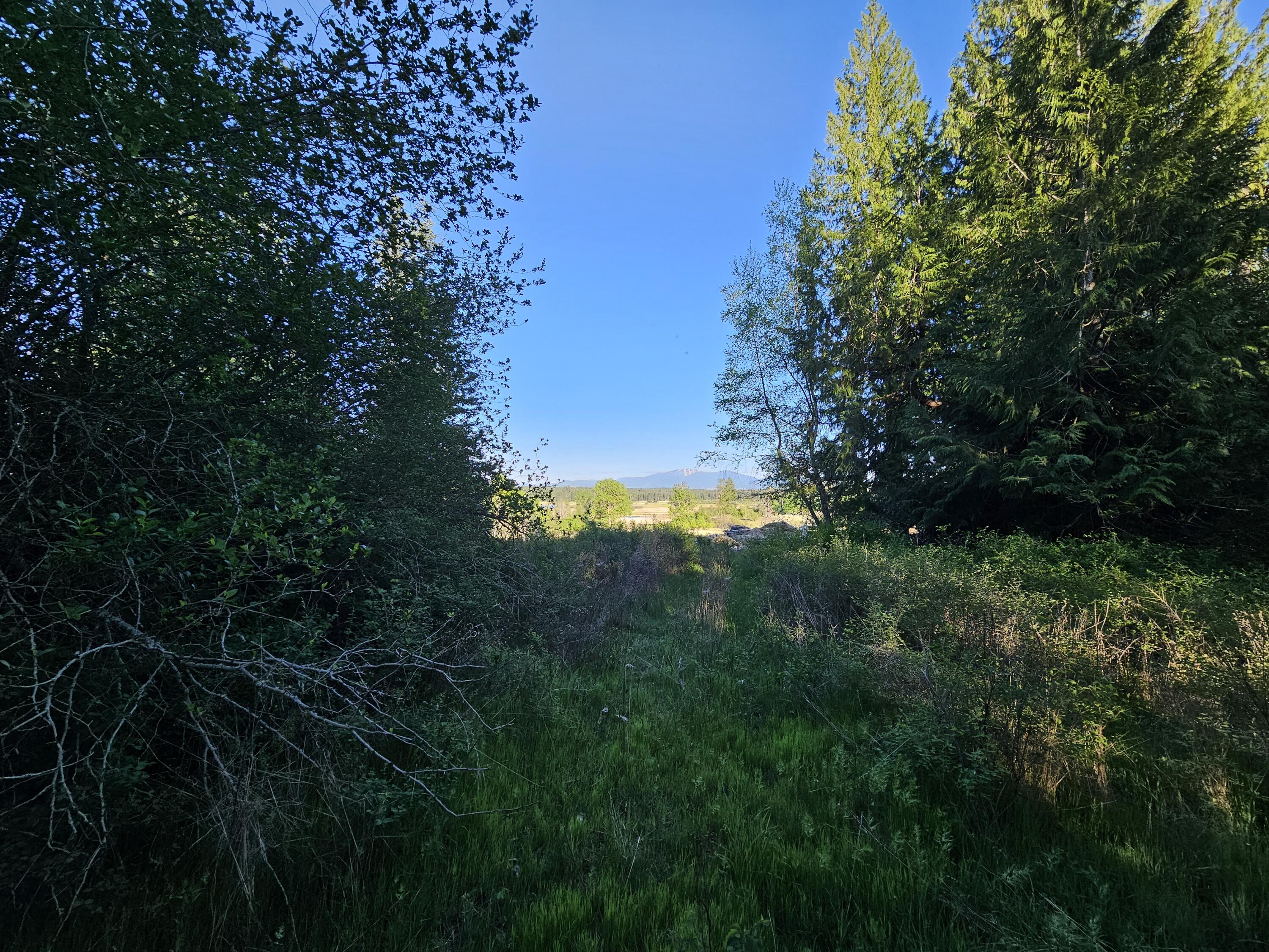 
                        Property photograph at
                        2XXX BLK E ELOIKA LAKE RD
                      