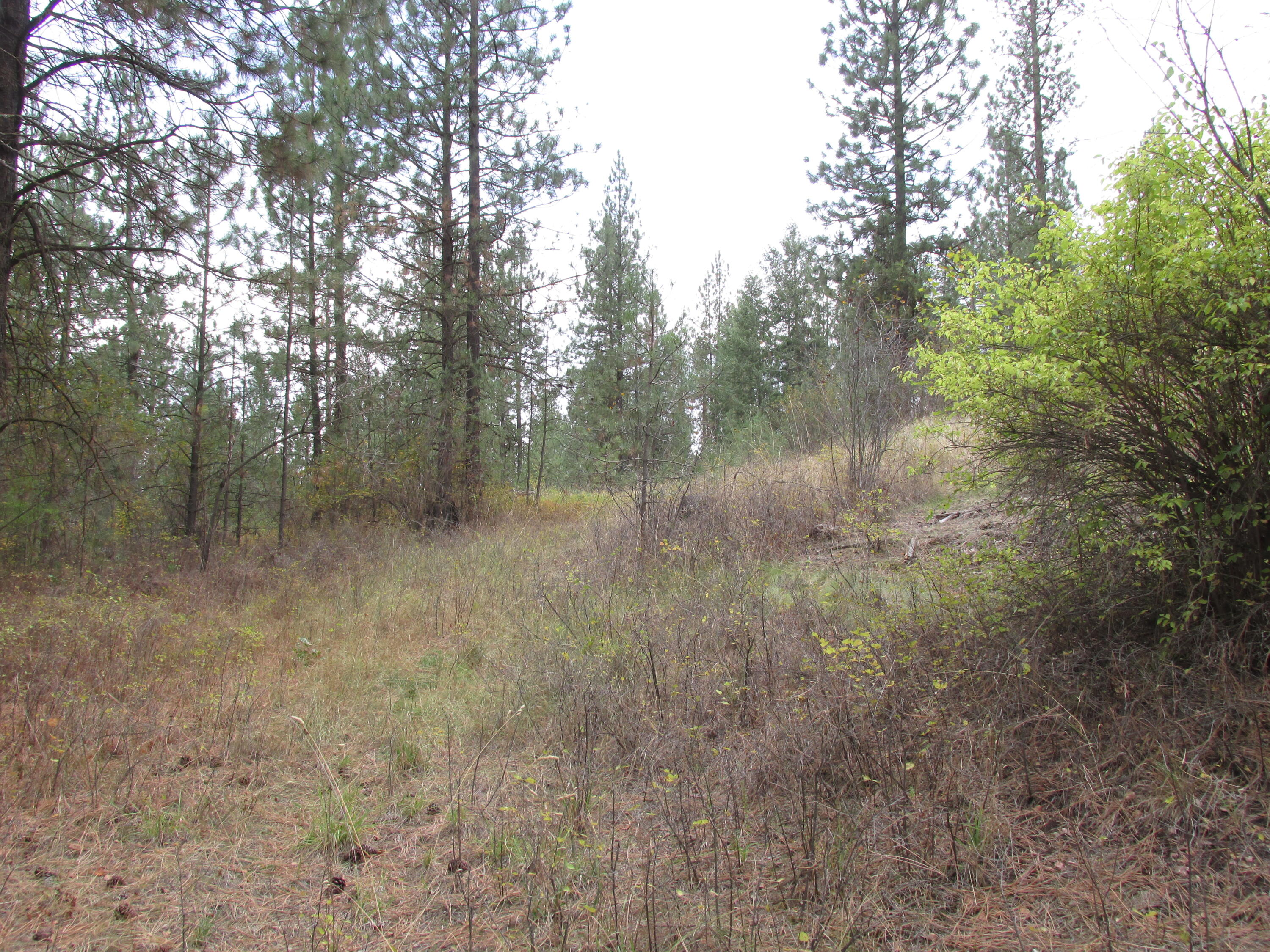
                        Property photograph at
                        1525 HIGHWAY 395 S
                      