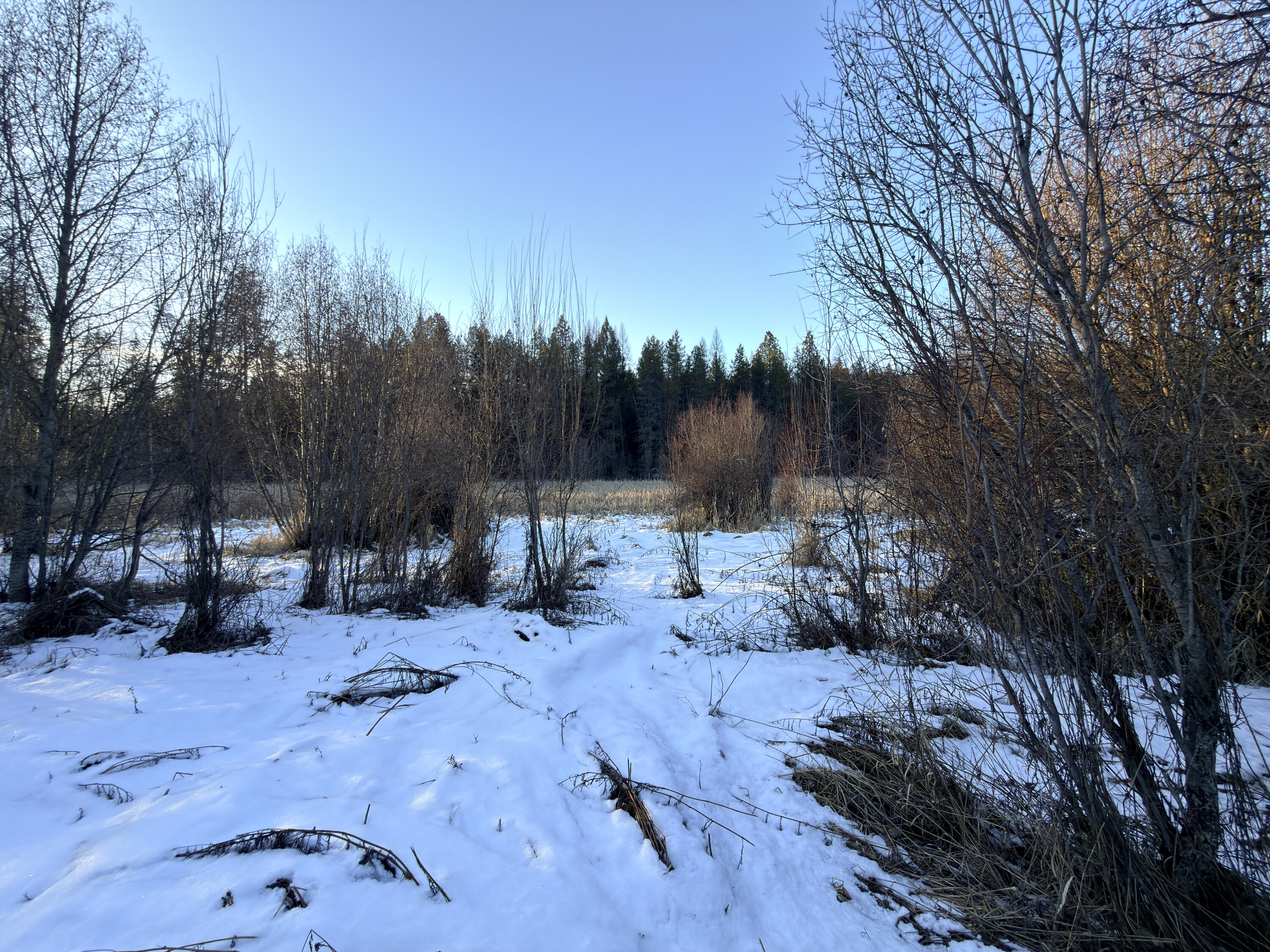 
                        Property photograph at
                        331861 HIGHWAY 2
                      
