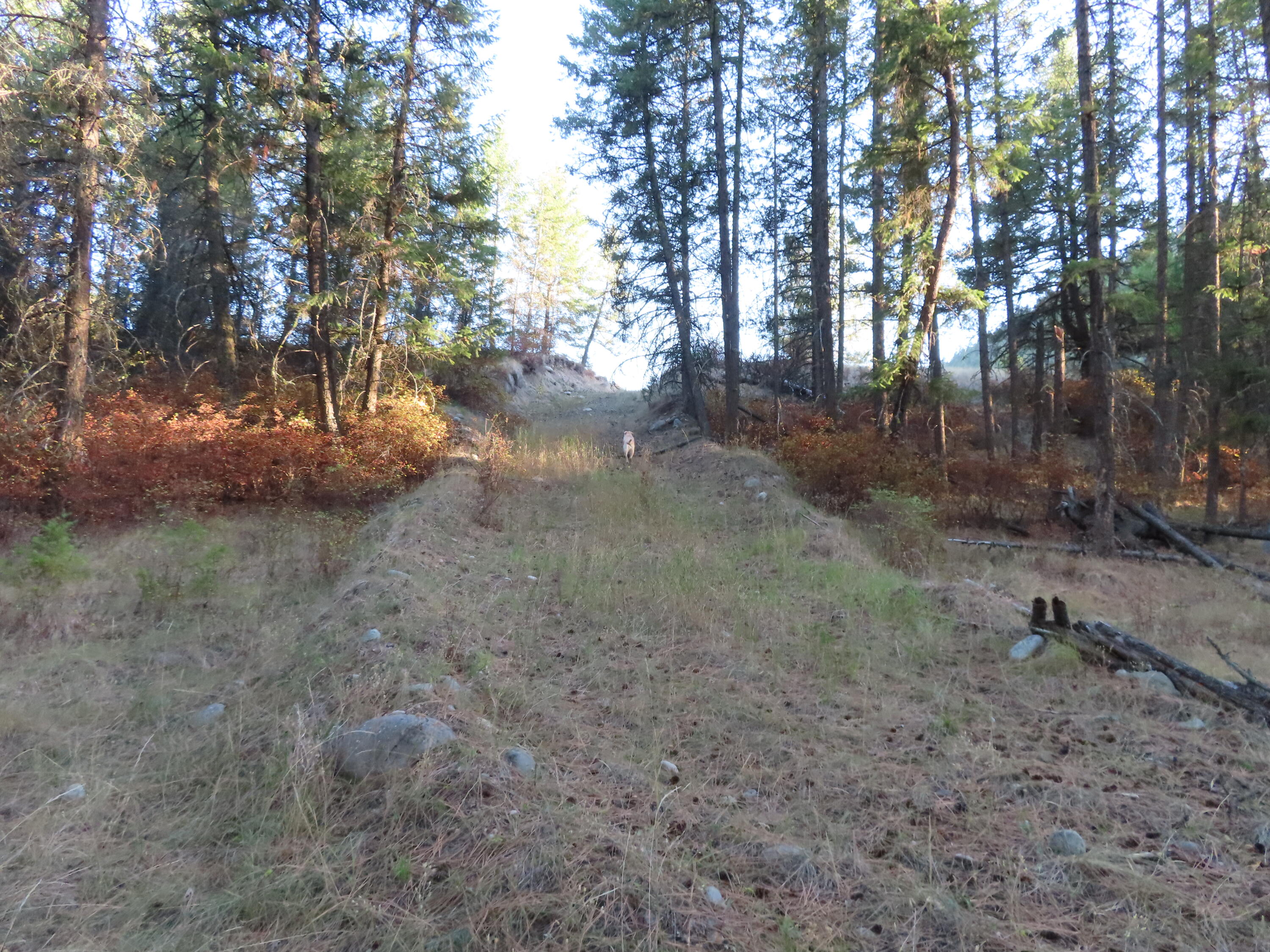
                        Property photograph at
                        TBD TORODA CREEK RD
                      