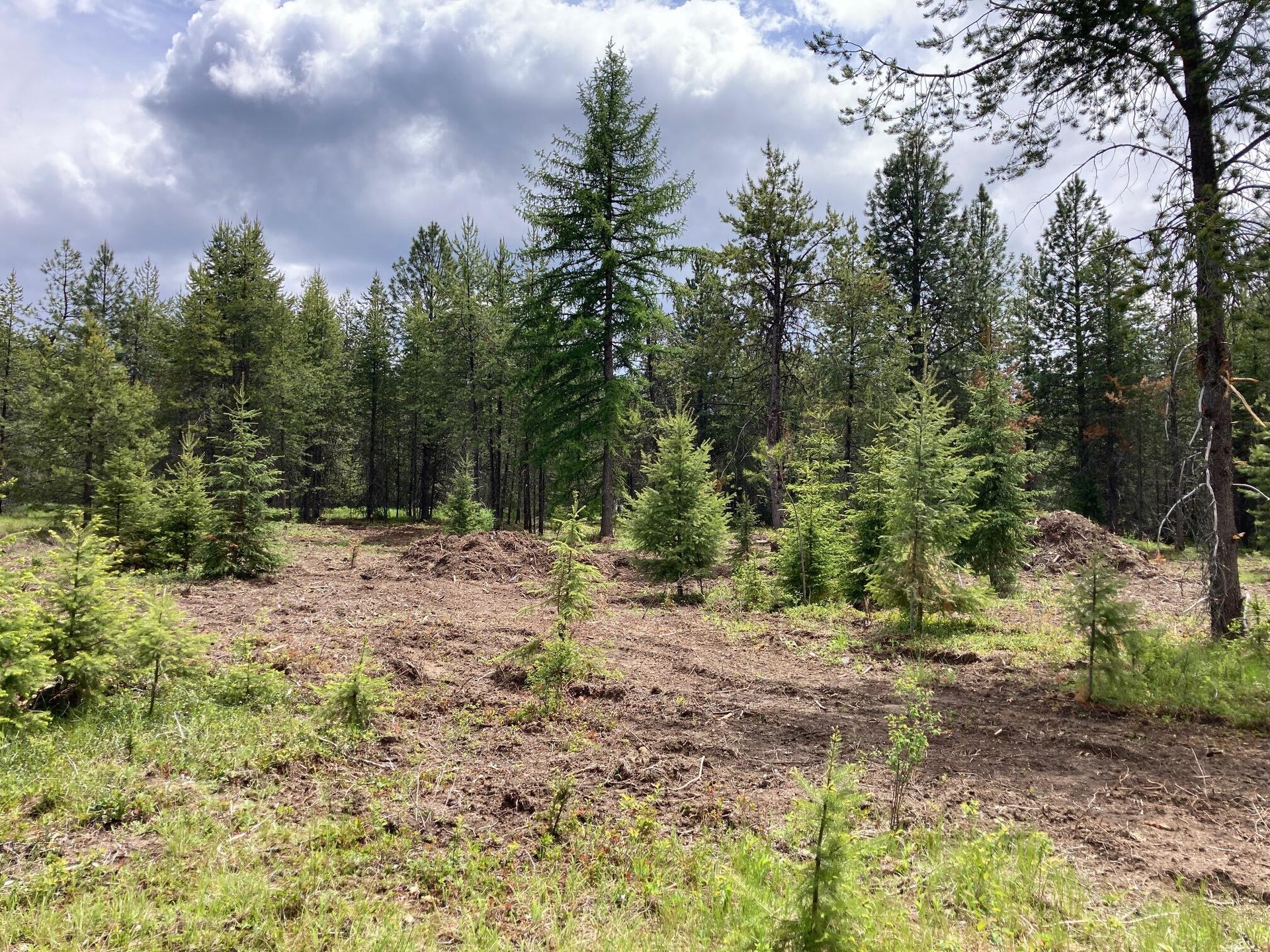 
                        Property photograph at
                        1496 E HWY 20 XX
                      