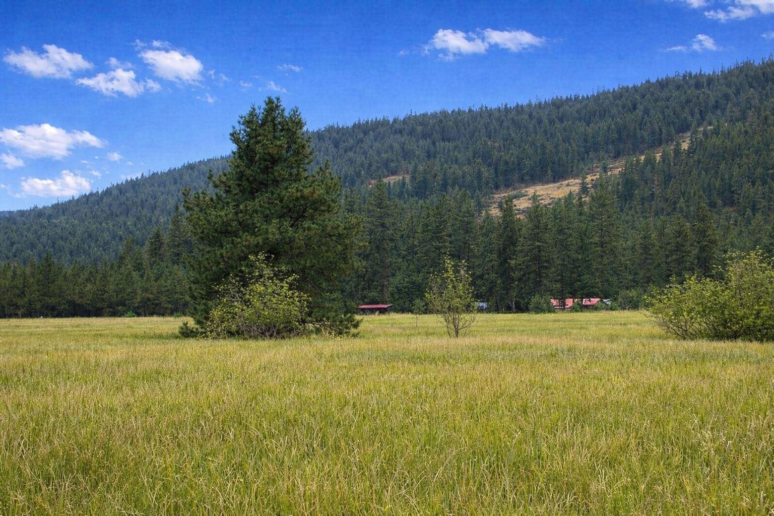 
                        Property photograph at
                        3349 ROCKCUT RD
                      