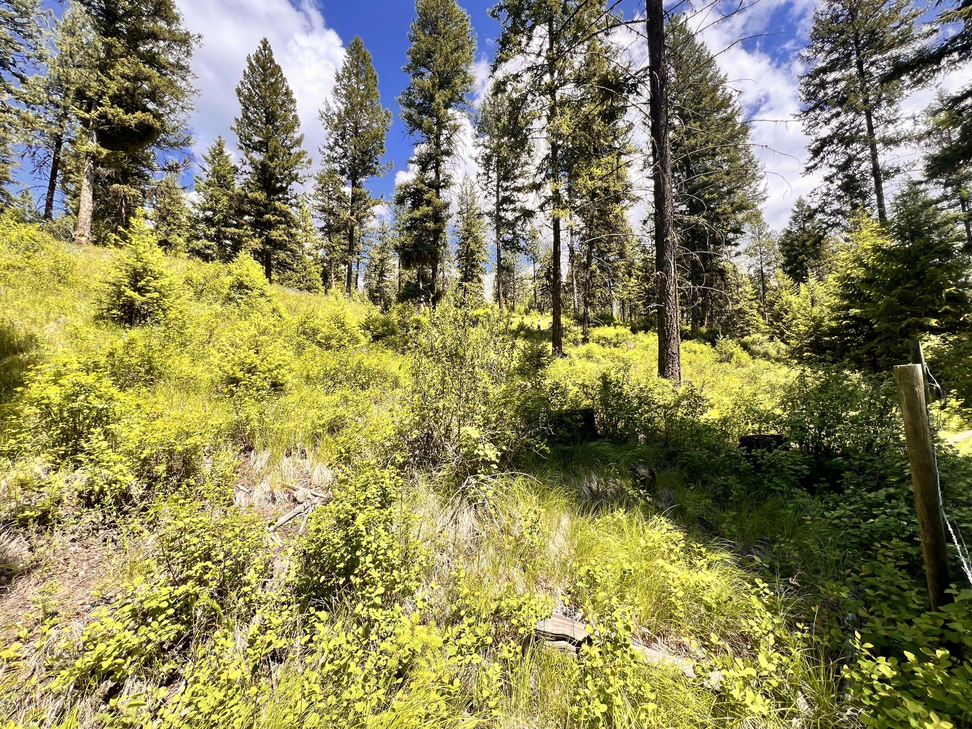 
                        Property photograph at
                        TBD OLD KETTLE FALLS RD
                      