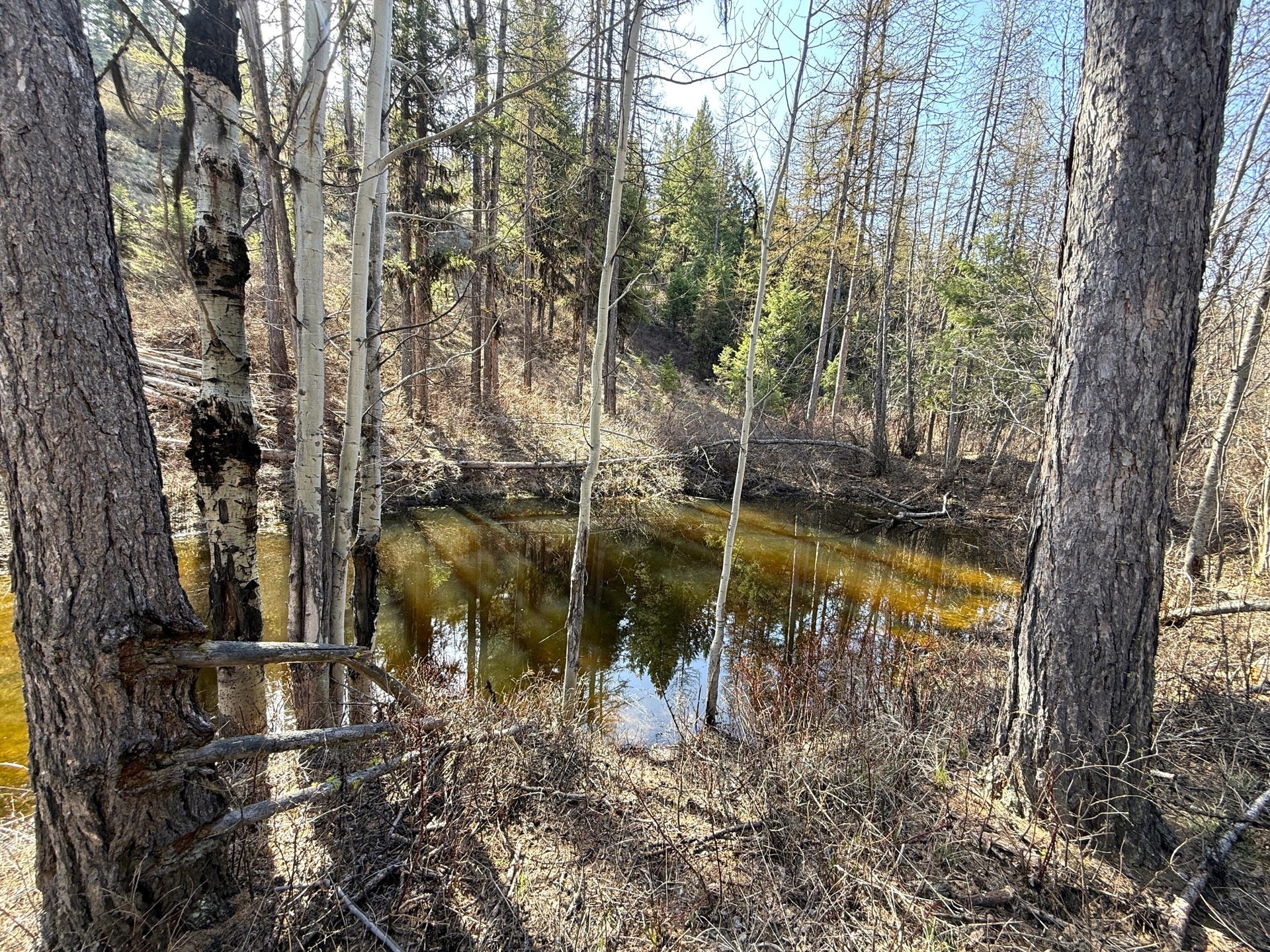 
                        Property photograph at
                        TBD GIVEOUT CREEK RD
                      