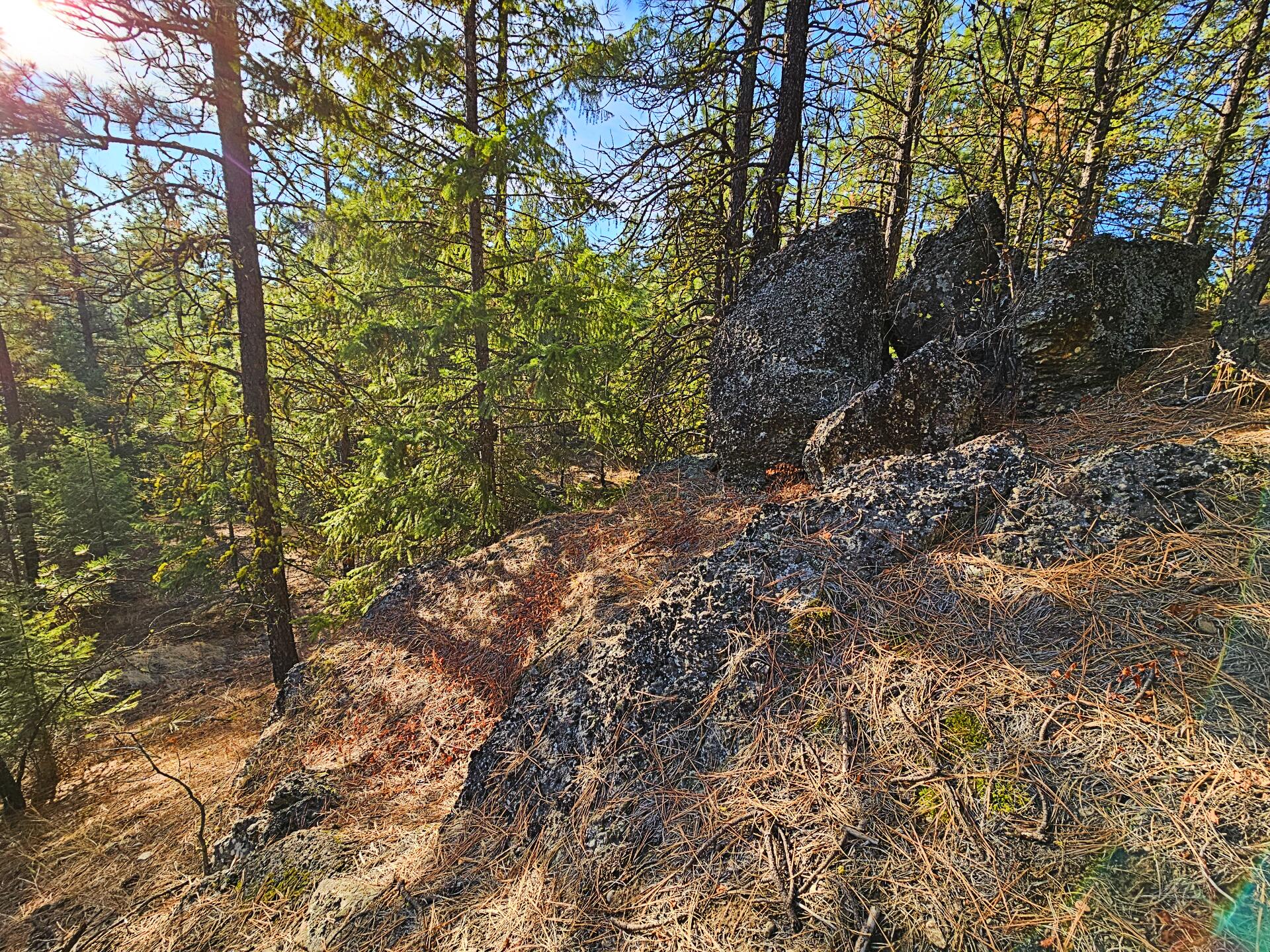
                        Property photograph at
                        1631Q BONANZA HILL RD N
                      