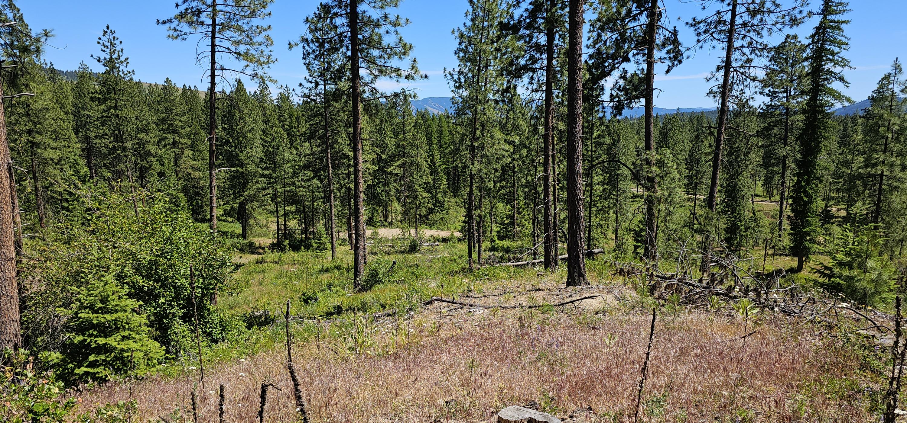 
                        Property photograph at
                        20X LYNX CREEK RD
                      
