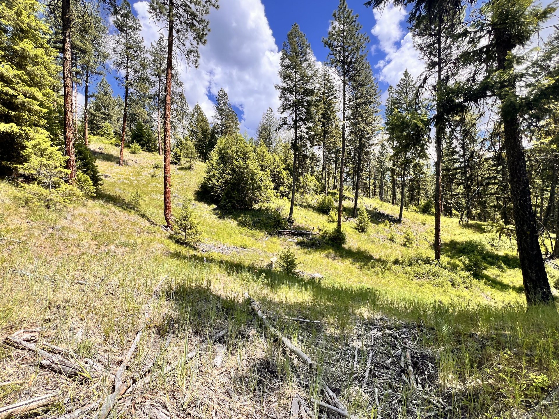 
                        Property photograph at
                        TBD OLD KETTLE FALLS RD
                      