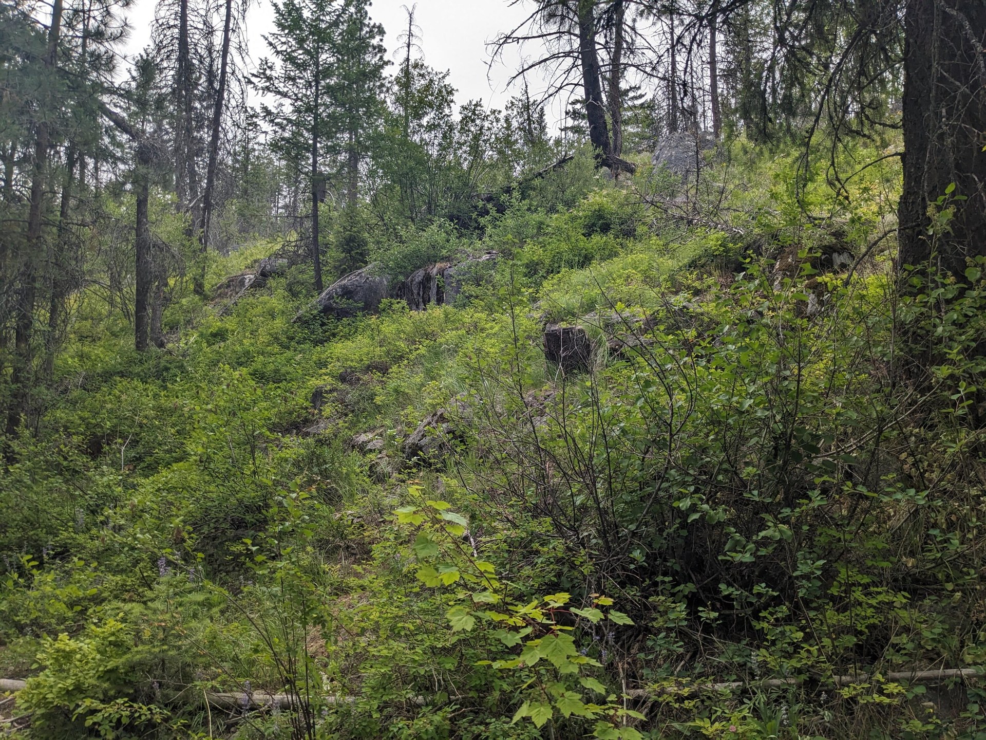 
                        Property photograph at
                        TBD BIA RD. 56
                      