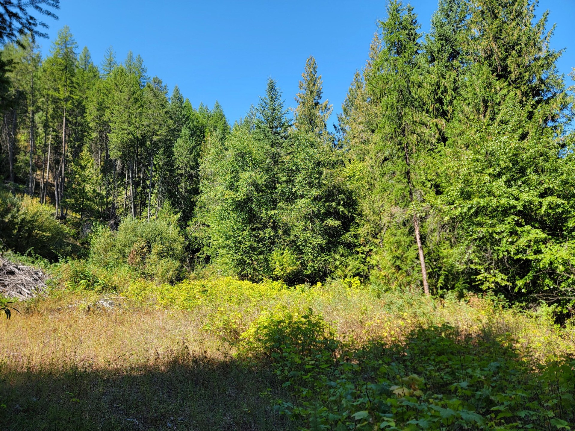 
                        Property photograph at
                        TBD LONE RANCH RD
                      