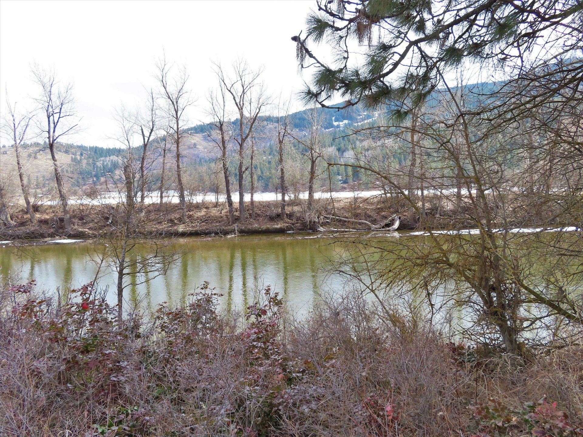 
                        Property photograph at
                        TBD HIGHWAY 21 N
                      