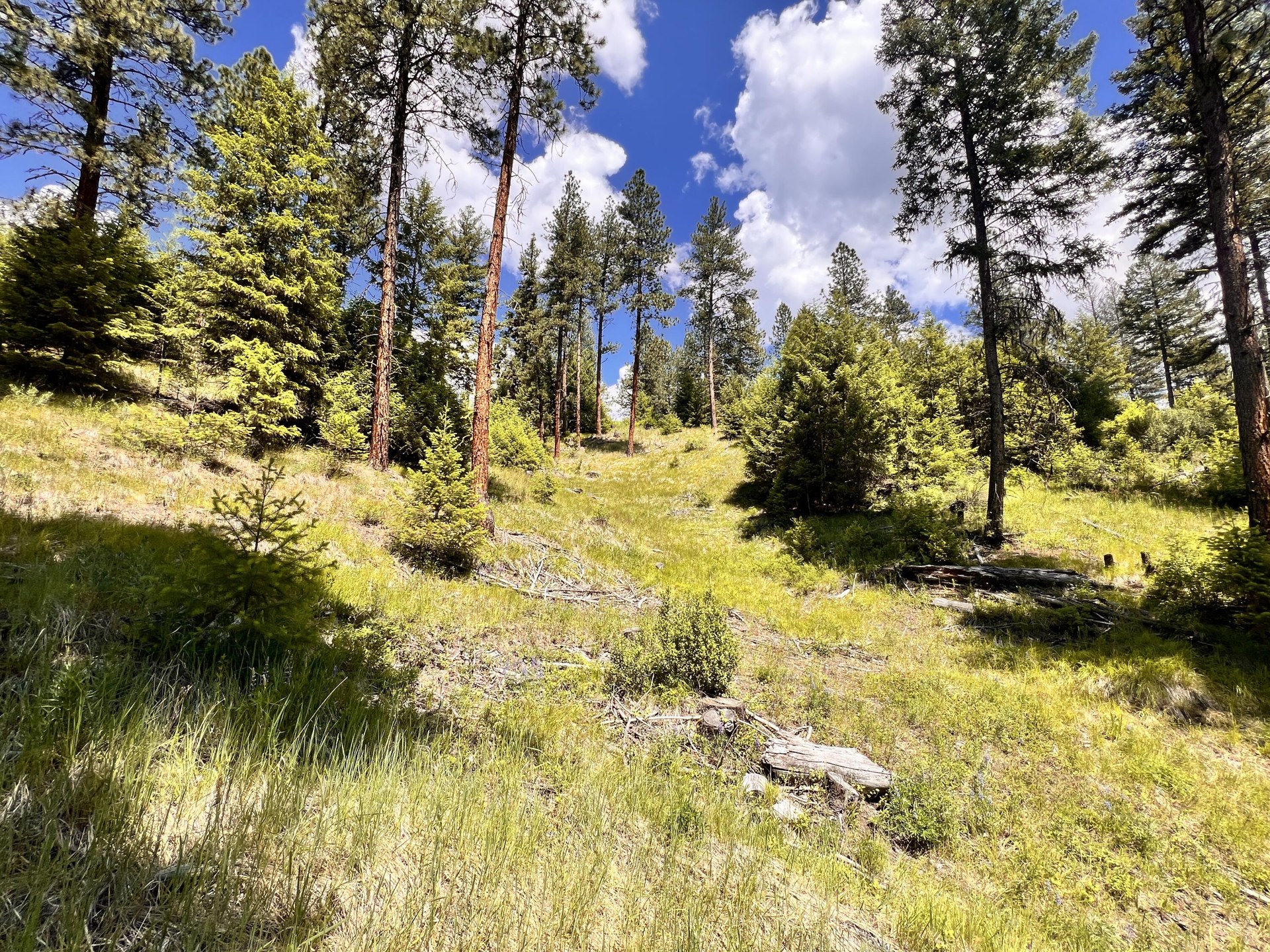 
                        Property photograph at
                        TBD OLD KETTLE FALLS RD
                      