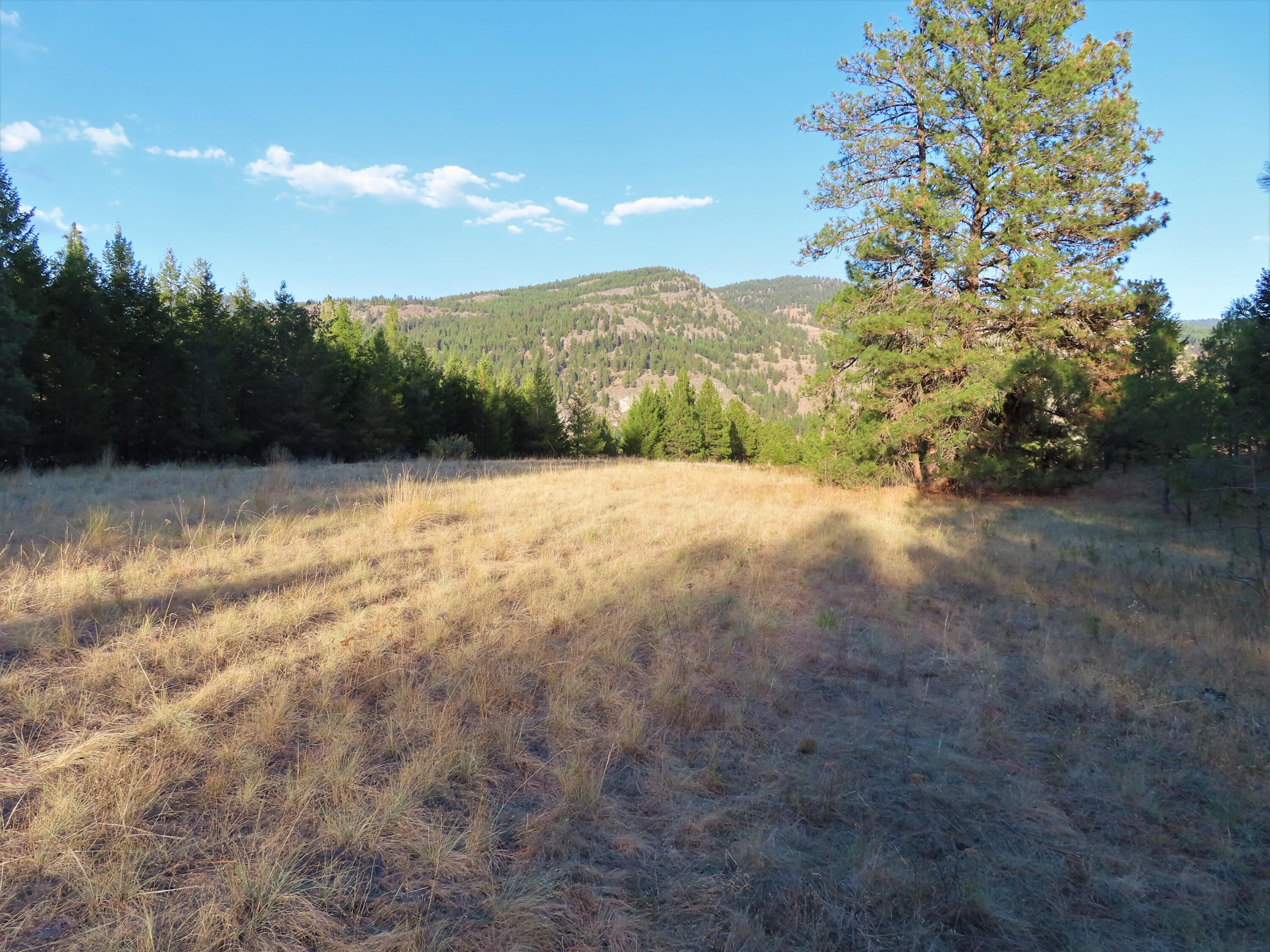 
                        Property photograph at
                        TBD TORODA CREEK RD
                      