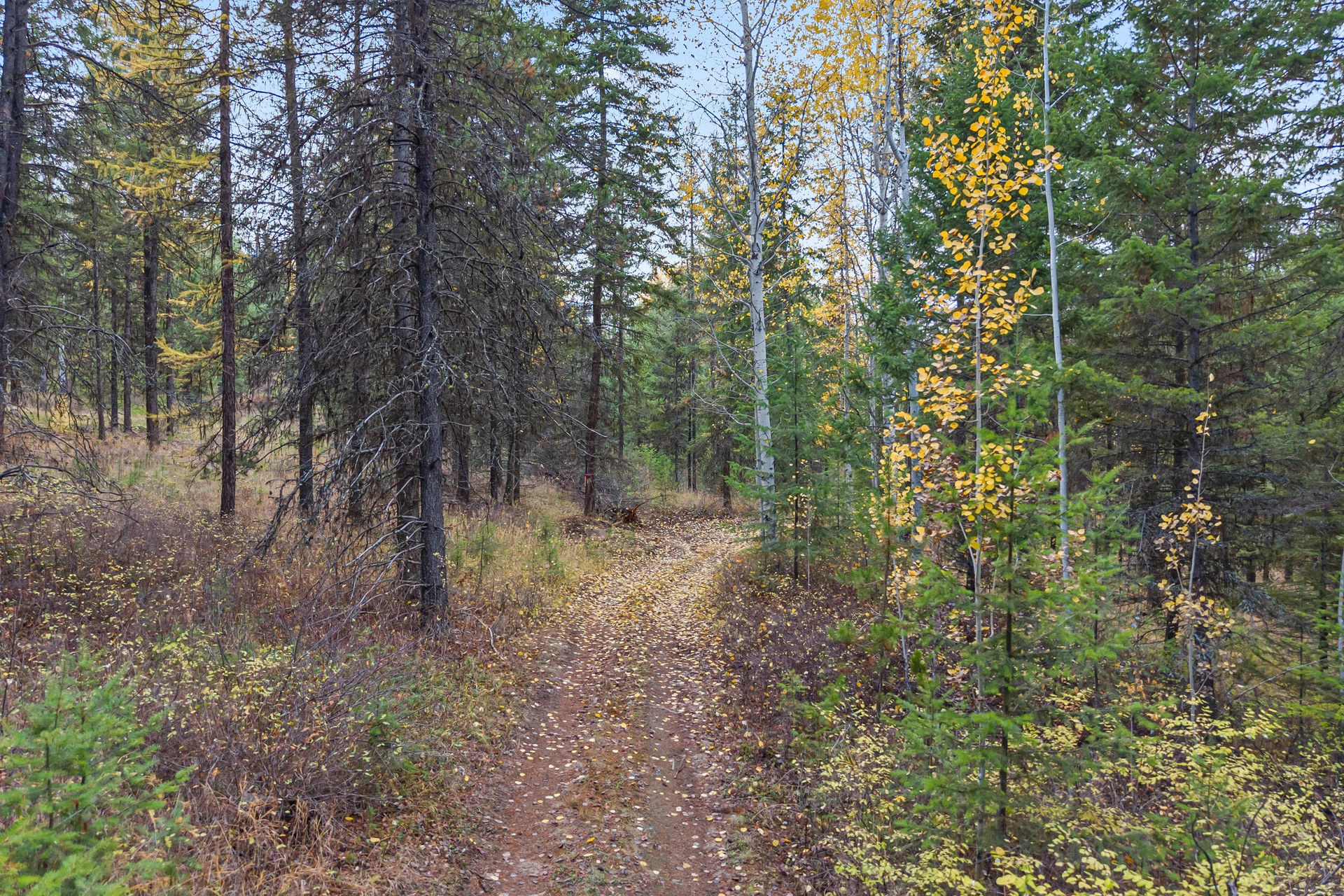 
                        Property photograph at
                        2094 CLUGSTON ONION CREEK RD
                      