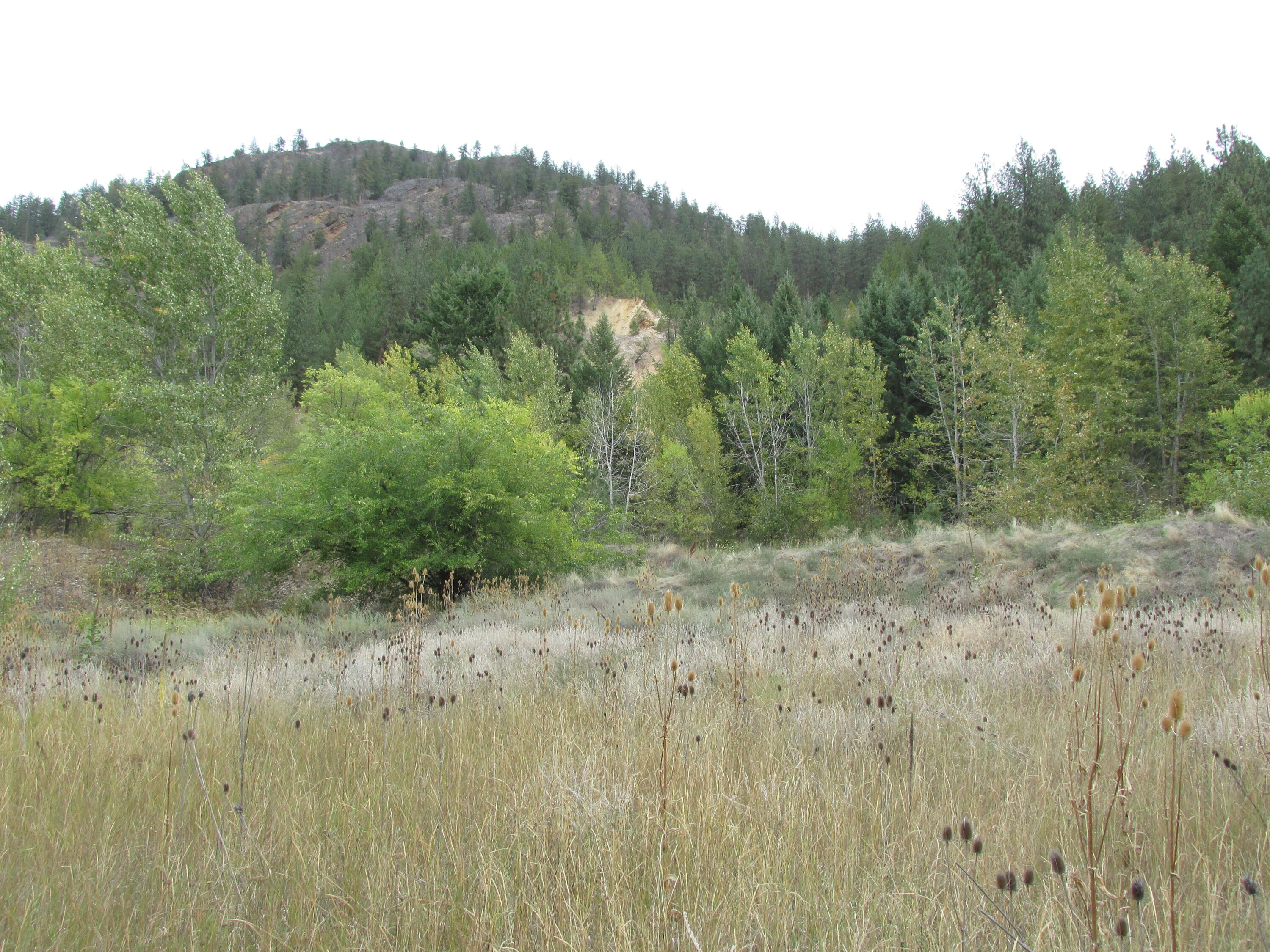 
                        Property photograph at
                        1475 US-395
                      