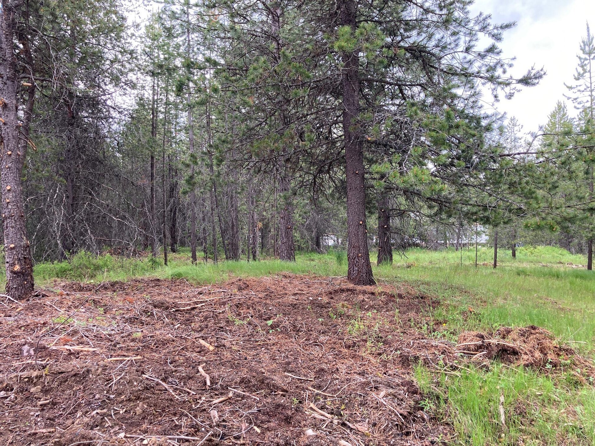 
                        Property photograph at
                        1496 E HWY 20 XX
                      