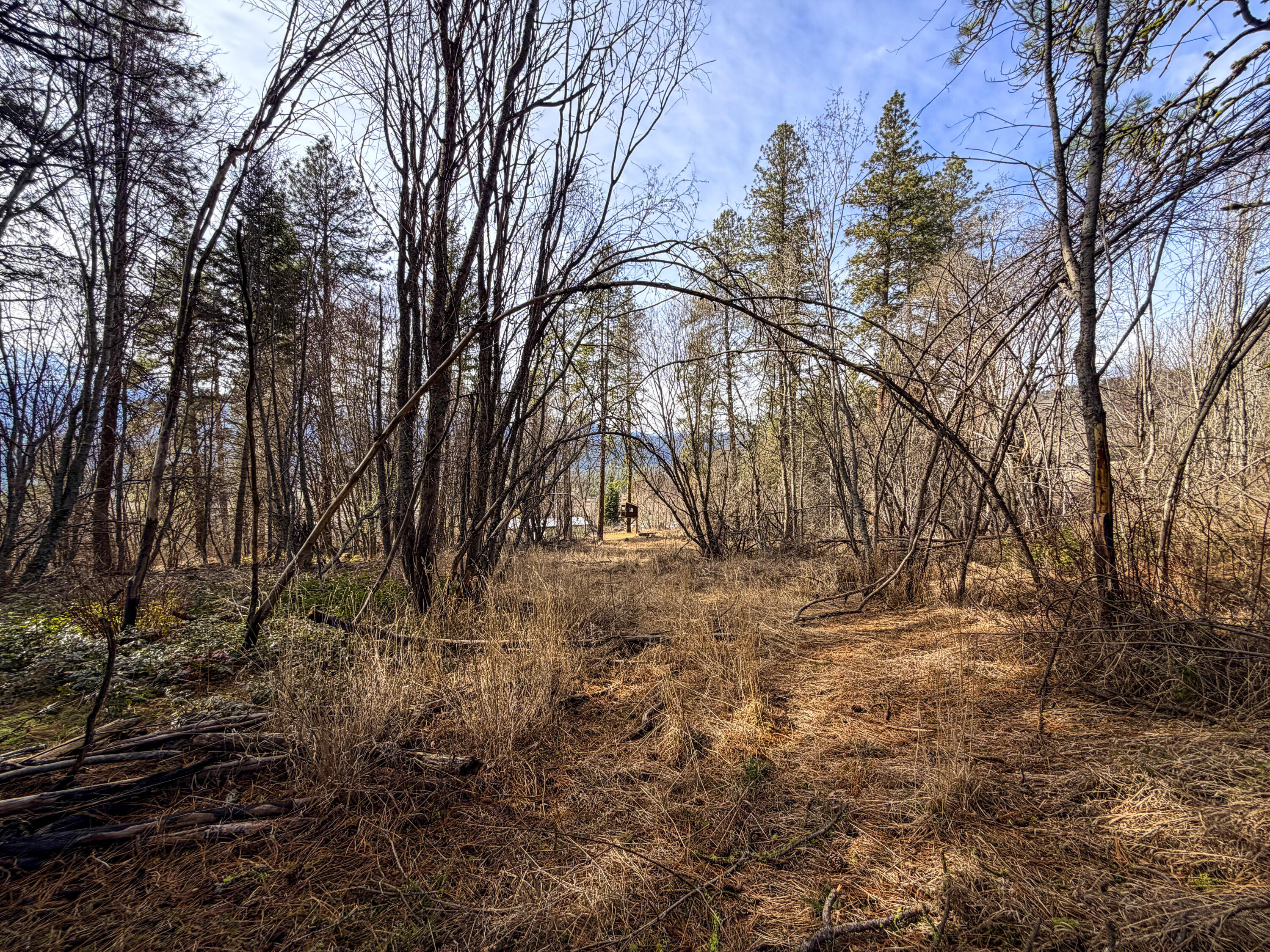 
                        Property photograph at
                        2897 MCNITT RD
                      