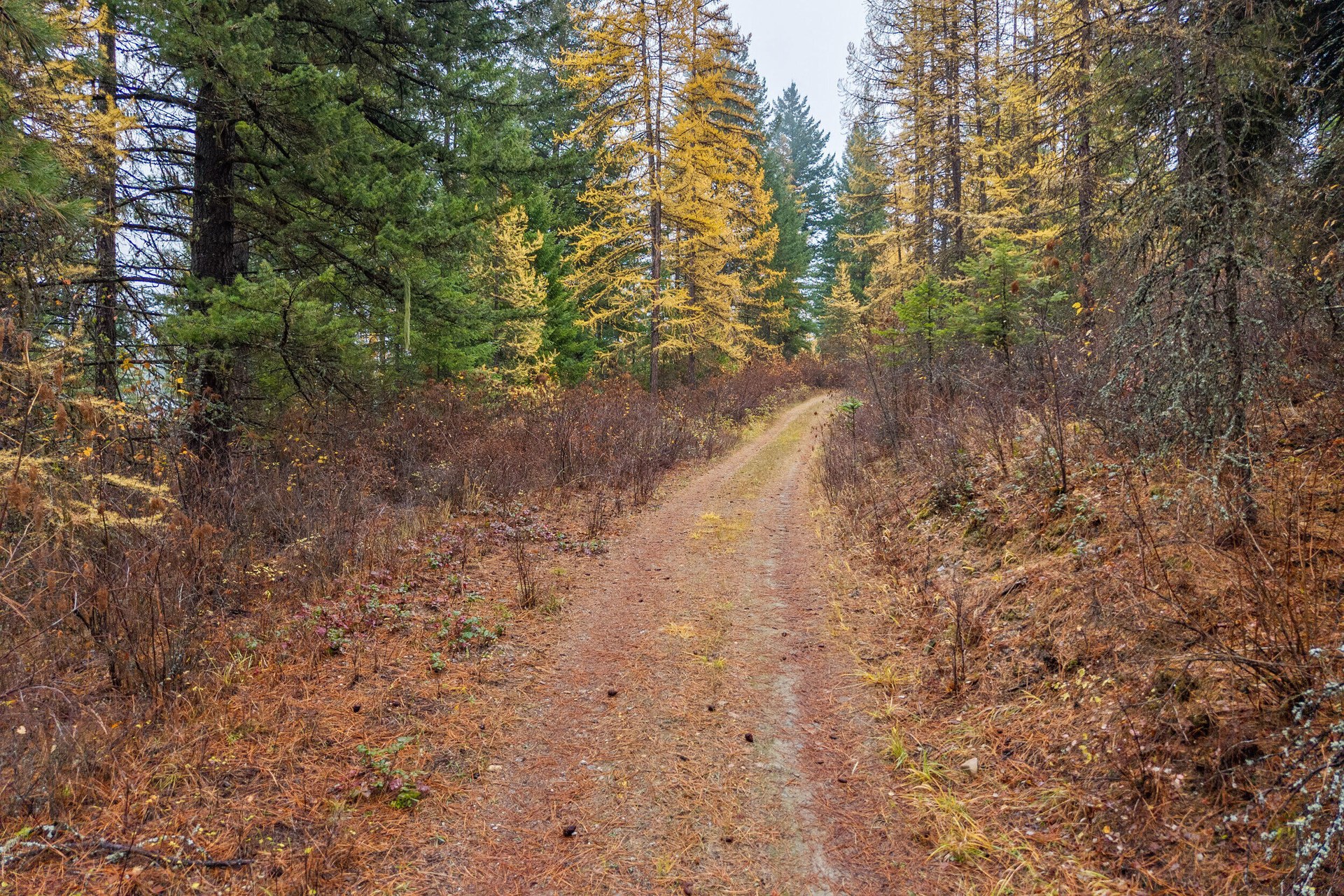
                        Property photograph at
                        700 DRY GULCH RD
                      