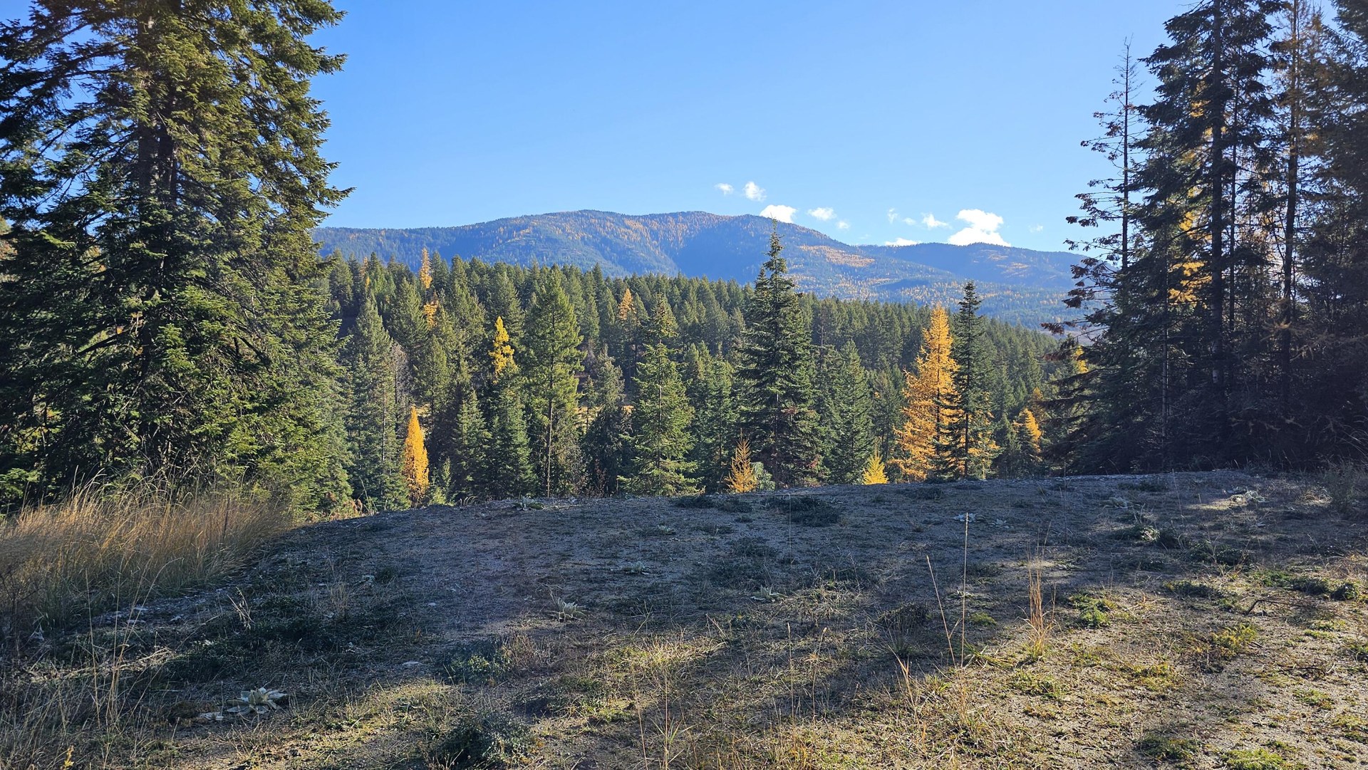 
                        Property photograph at
                        717 C FINLEY GULCH RD
                      
