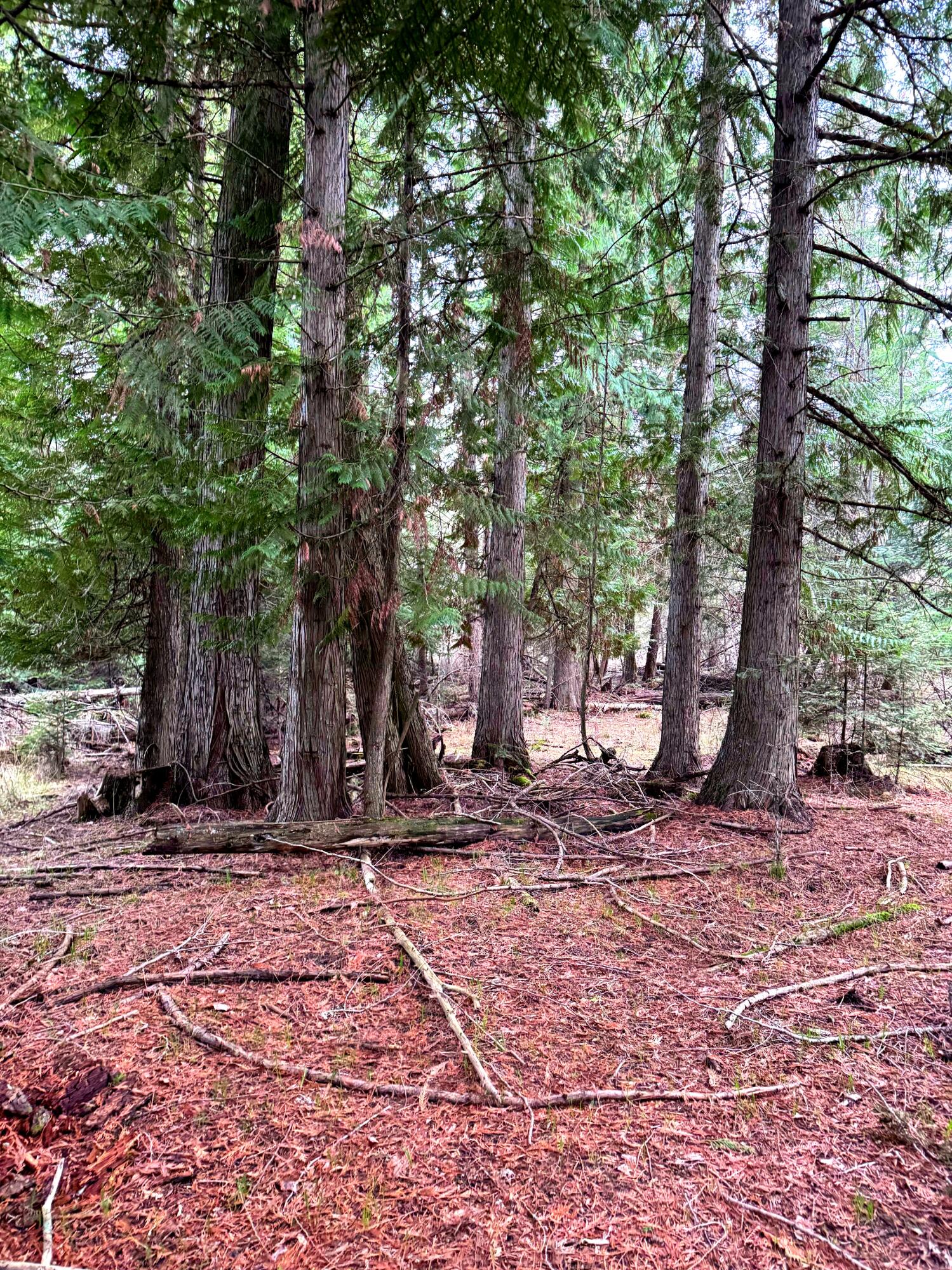 
                        Property photograph at
                        2XXX BLK E ELOIKA LAKE RD
                      