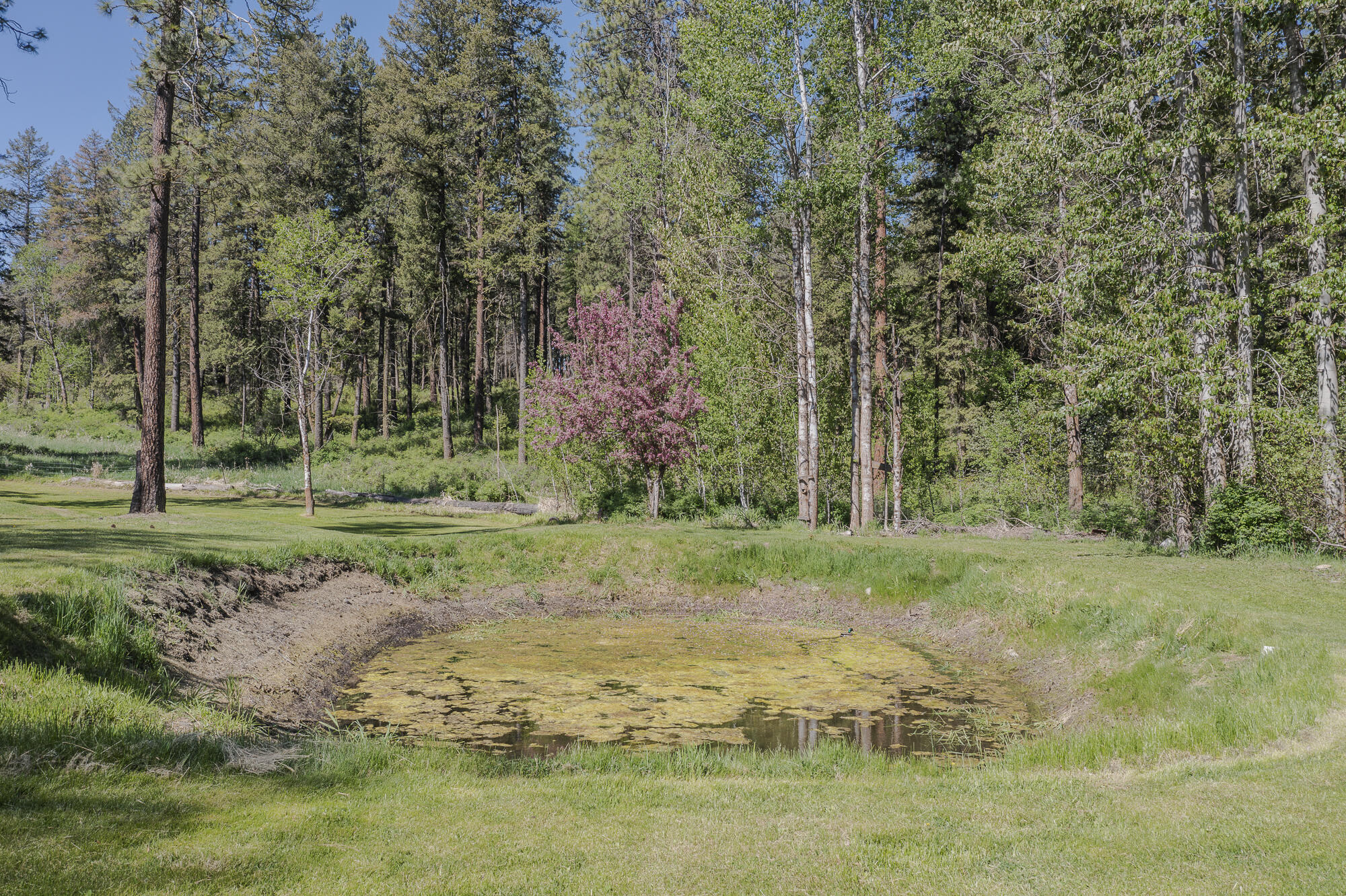 
                        Property photograph at
                        798 BARZEE RD
                      