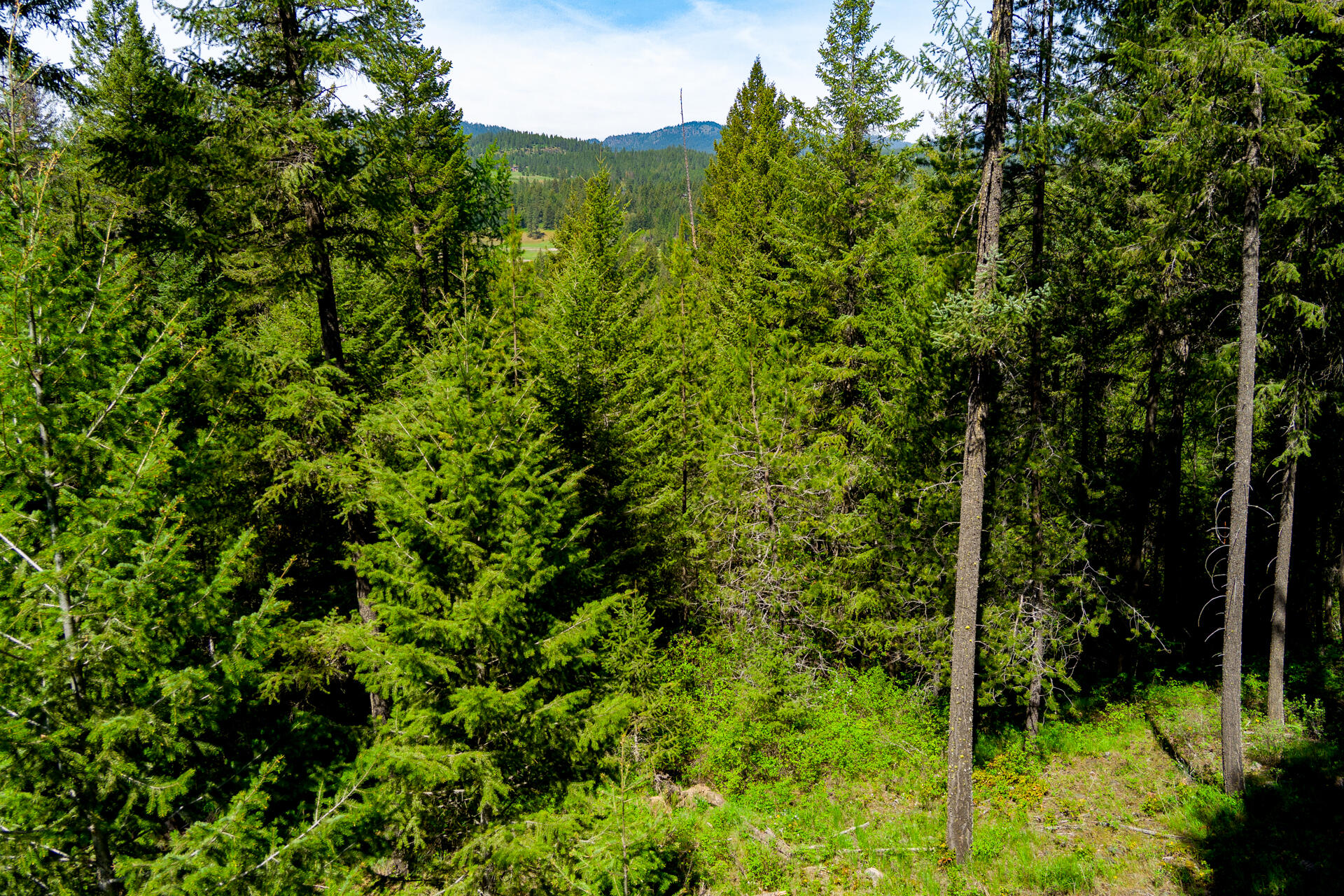 
                        Property photograph at
                        2559 UNITED COPPER MINE RD
                      