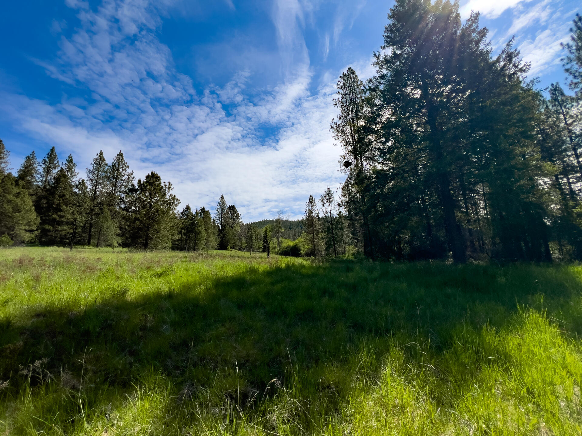 
                        Property photograph at
                        1763-I U.S. 395
                      