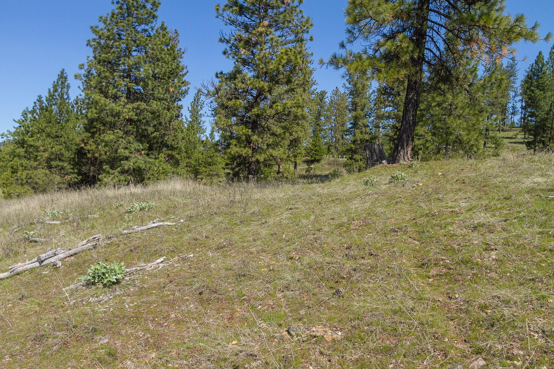 
                        Property photograph at
                        1622 PALMER LOOP
                      