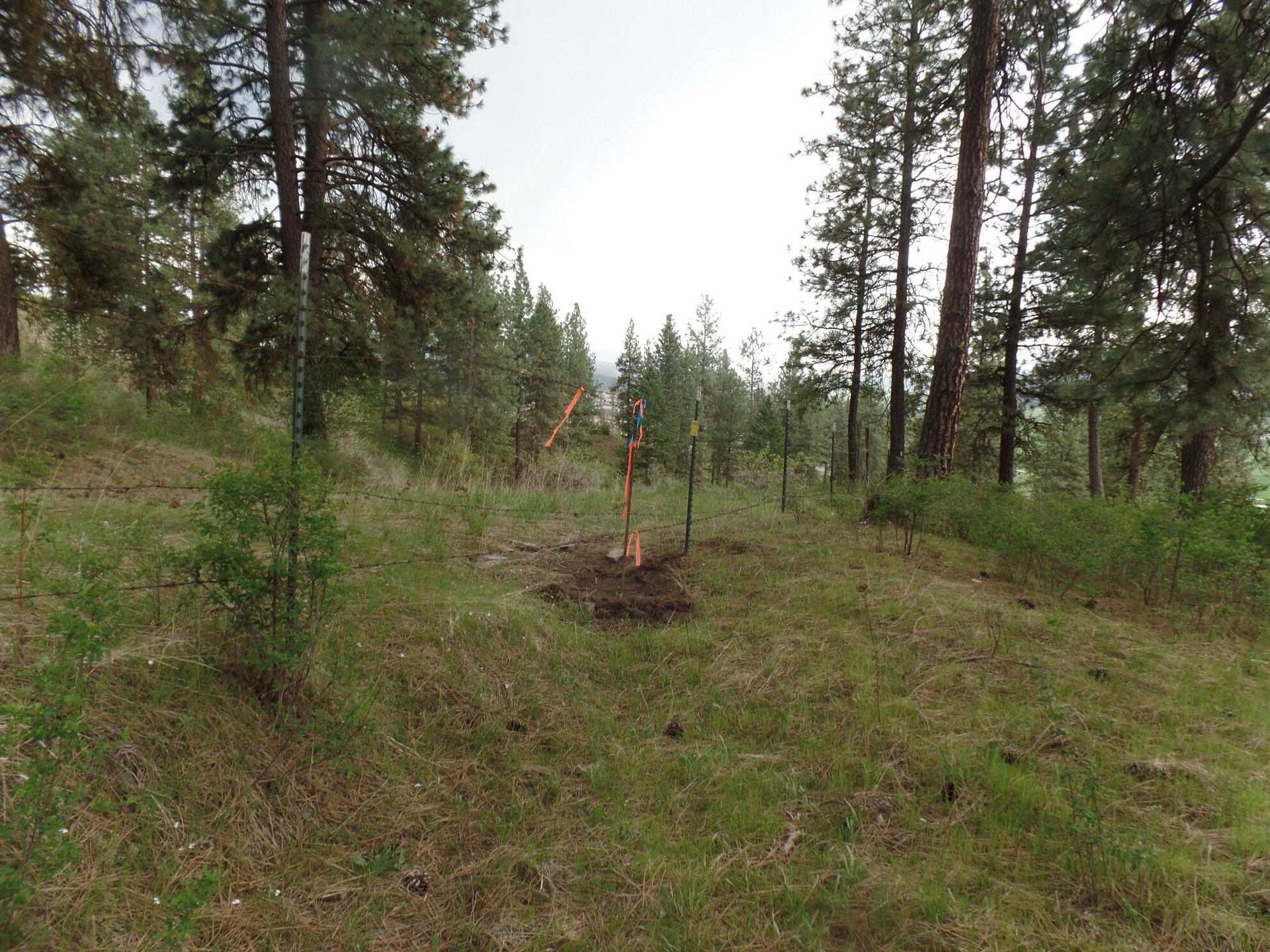 
                        Property photograph at
                        2XX HWY 395 N #A
                      