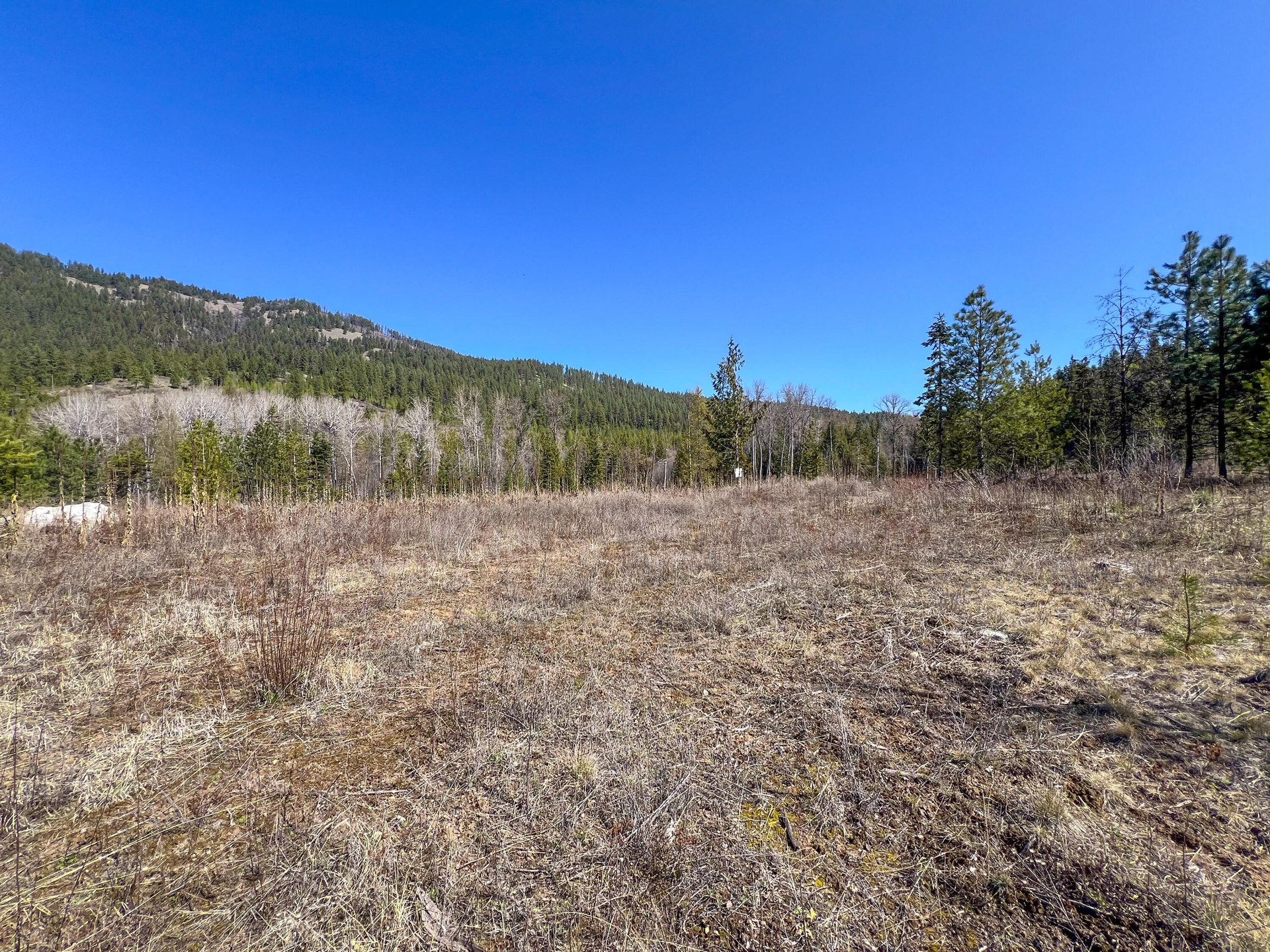 
                        Property photograph at
                        26XX FLOWERY TRAIL RD
                      