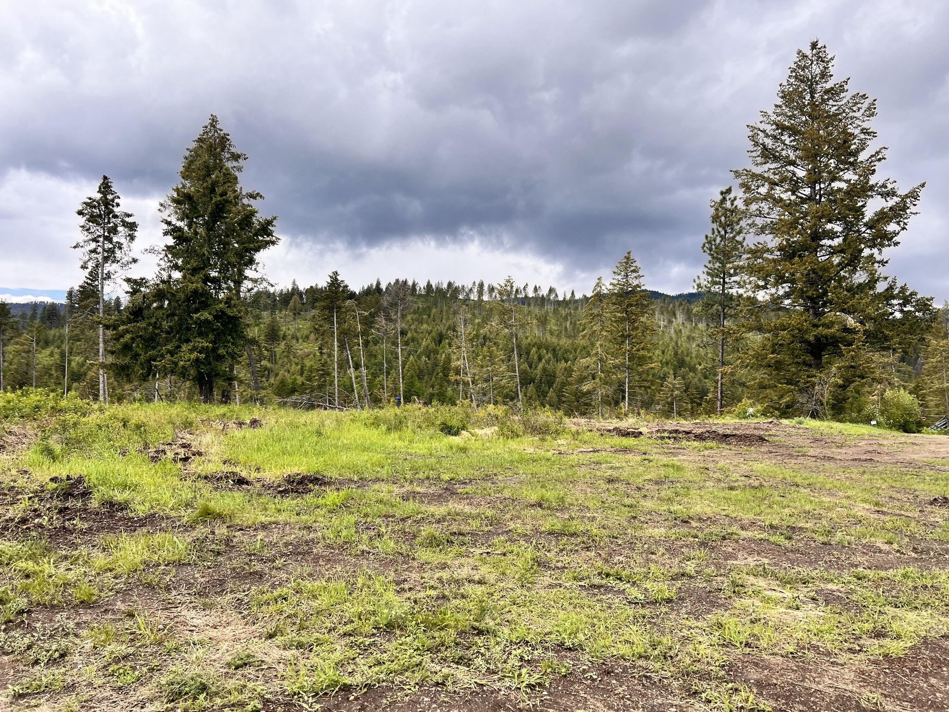 
                        Property photograph at
                        293 BIG GOOSMUS CRK RD
                      