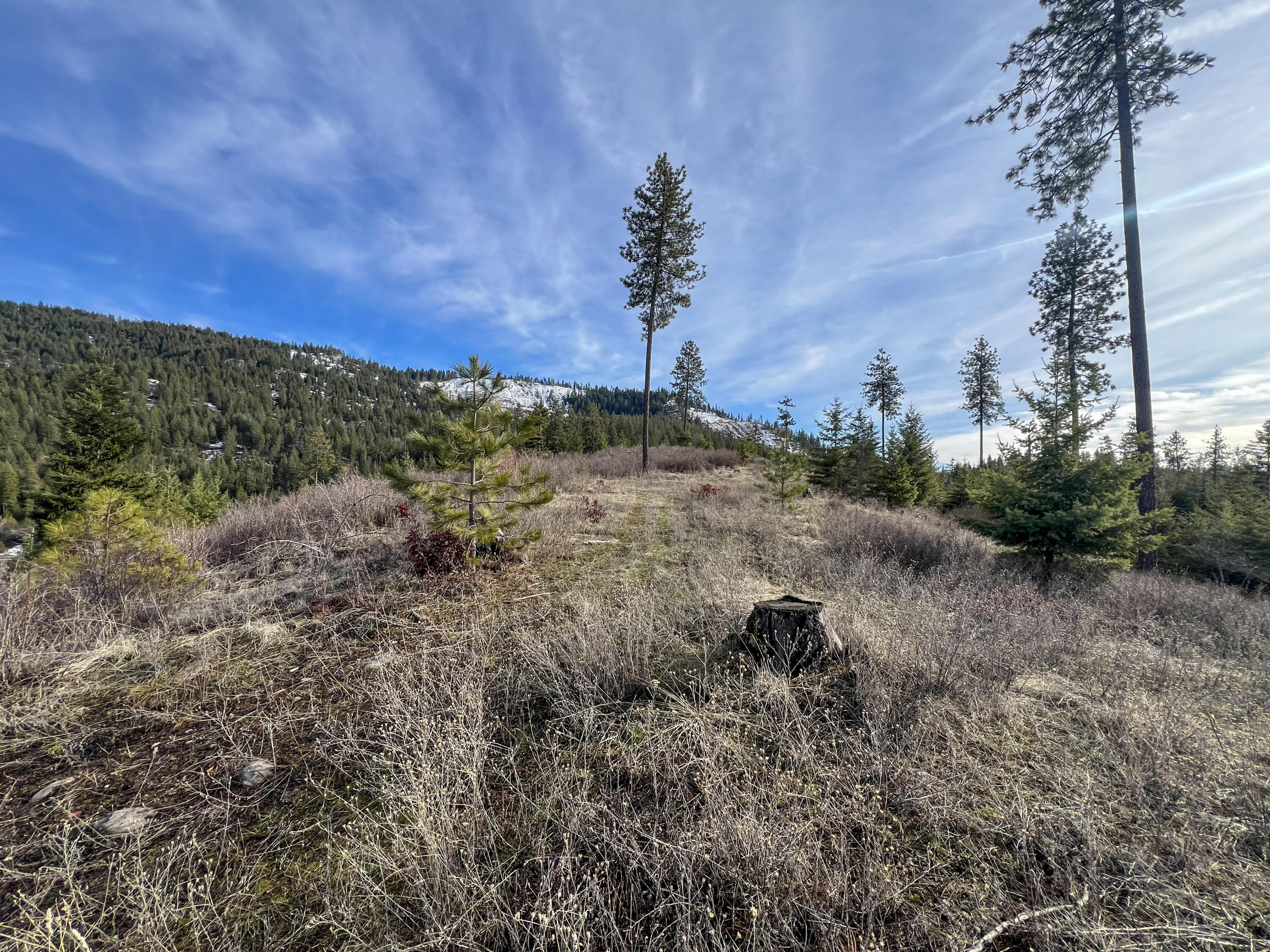 
                        Property photograph at
                        35XX HARMS WAY
                      