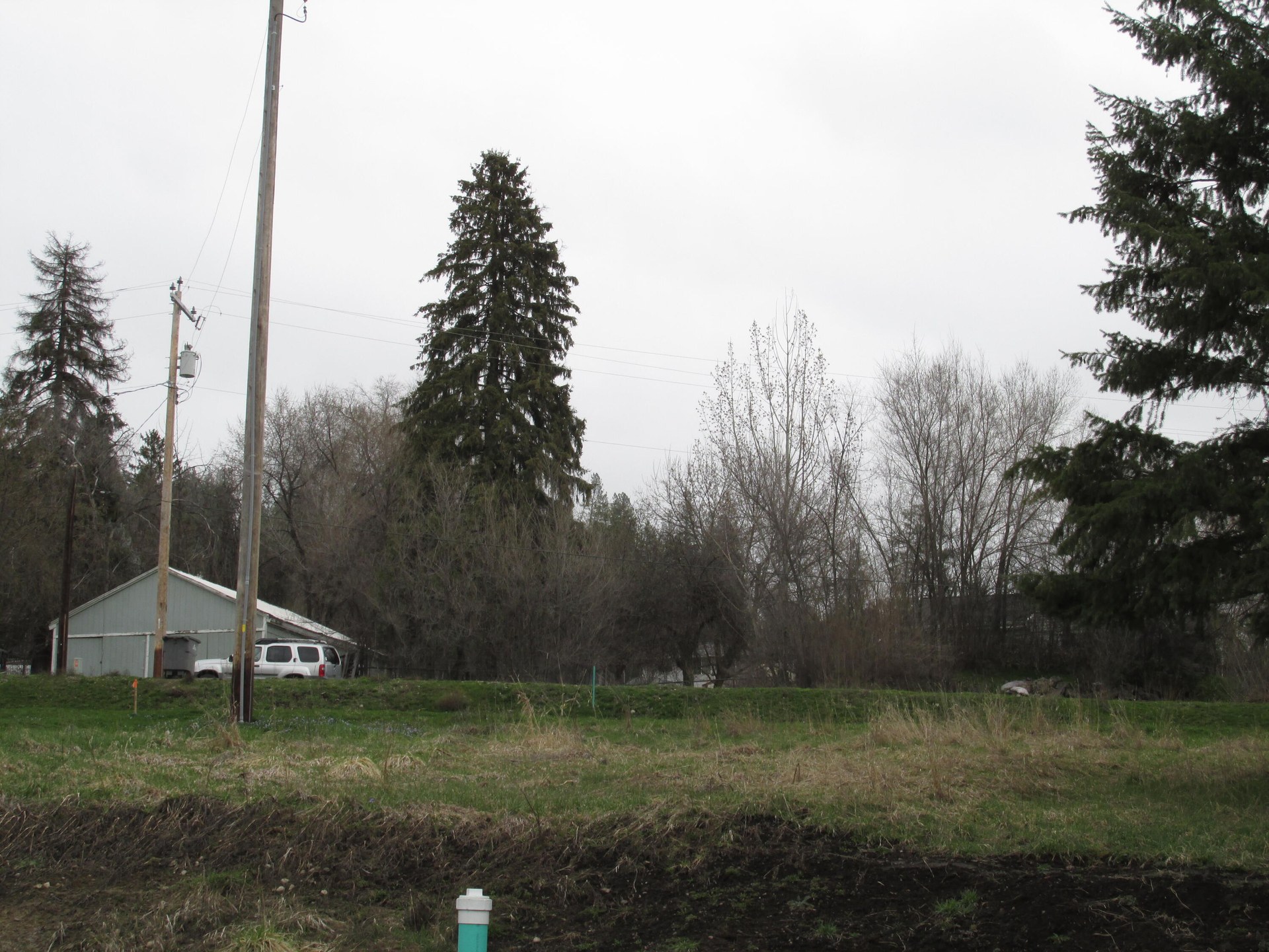 
                        Property photograph at
                        8XX N WASHINGTON AVE
                      