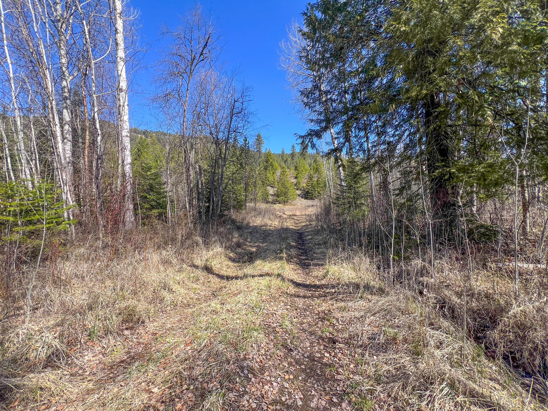 
                        Property photograph at
                        26XX FLOWERY TRAIL RD
                      