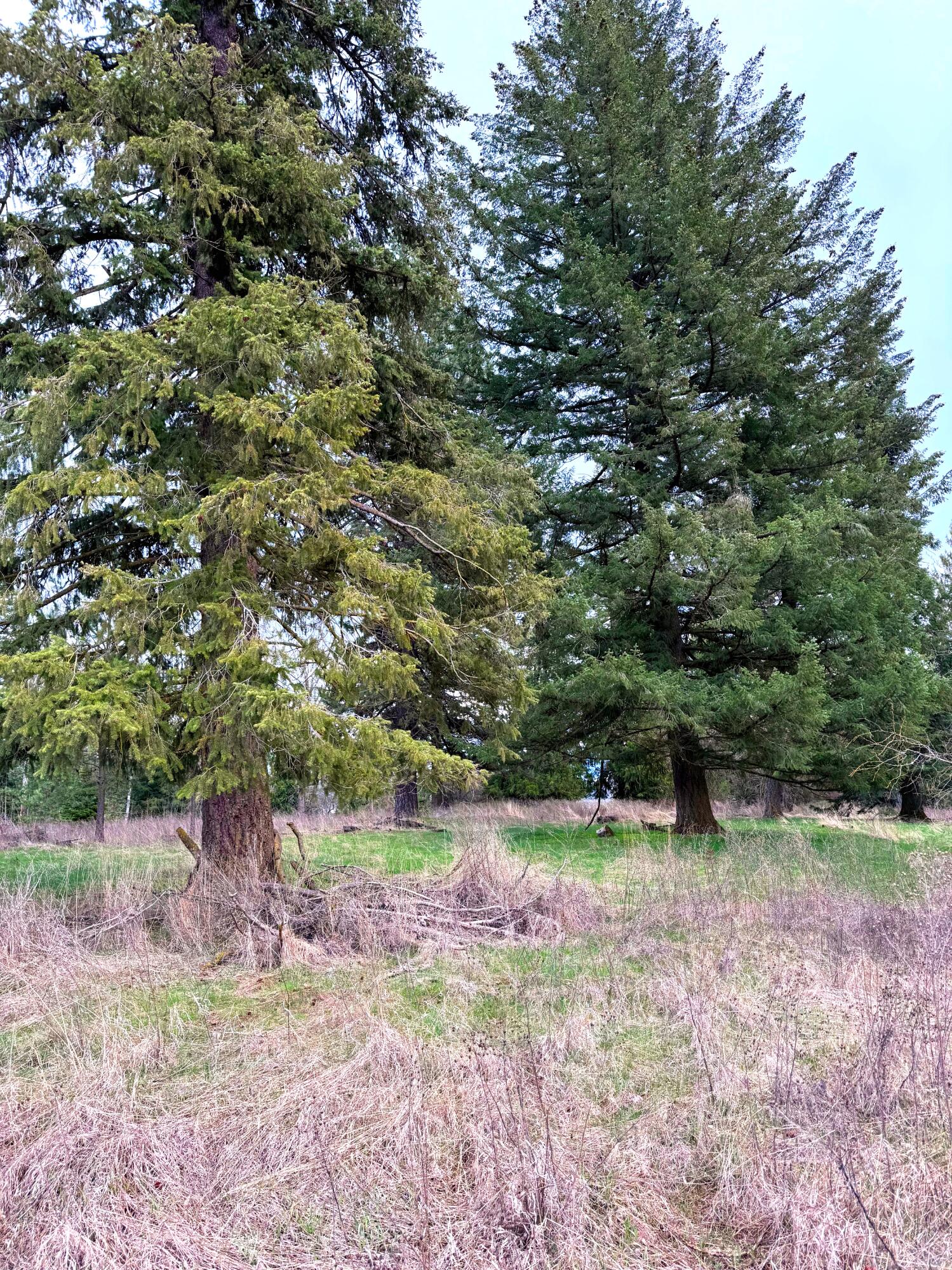 
                        Property photograph at
                        2XXX BLK E ELOIKA LAKE RD
                      