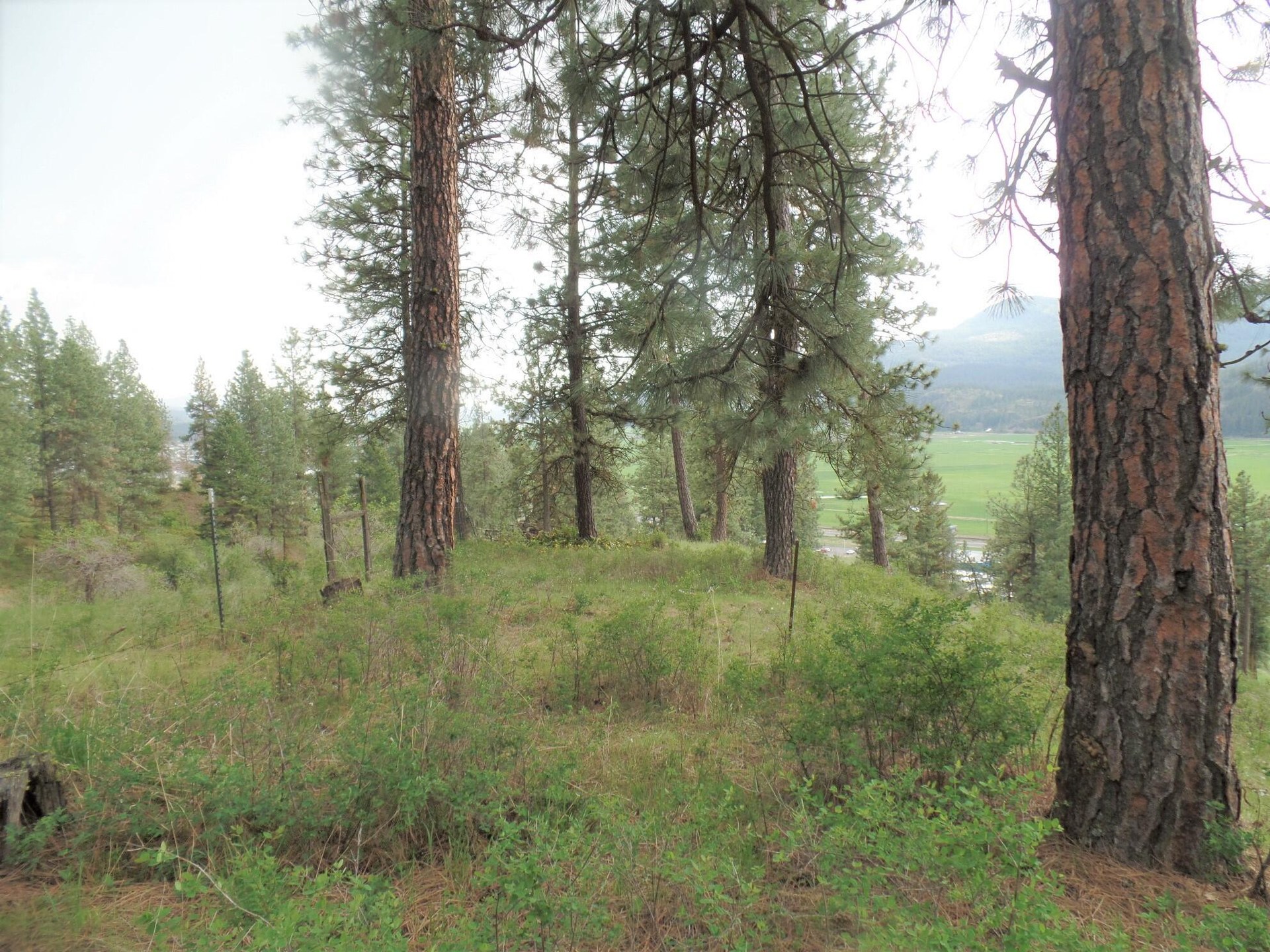 
                        Property photograph at
                        2XX HWY 395 N #A
                      