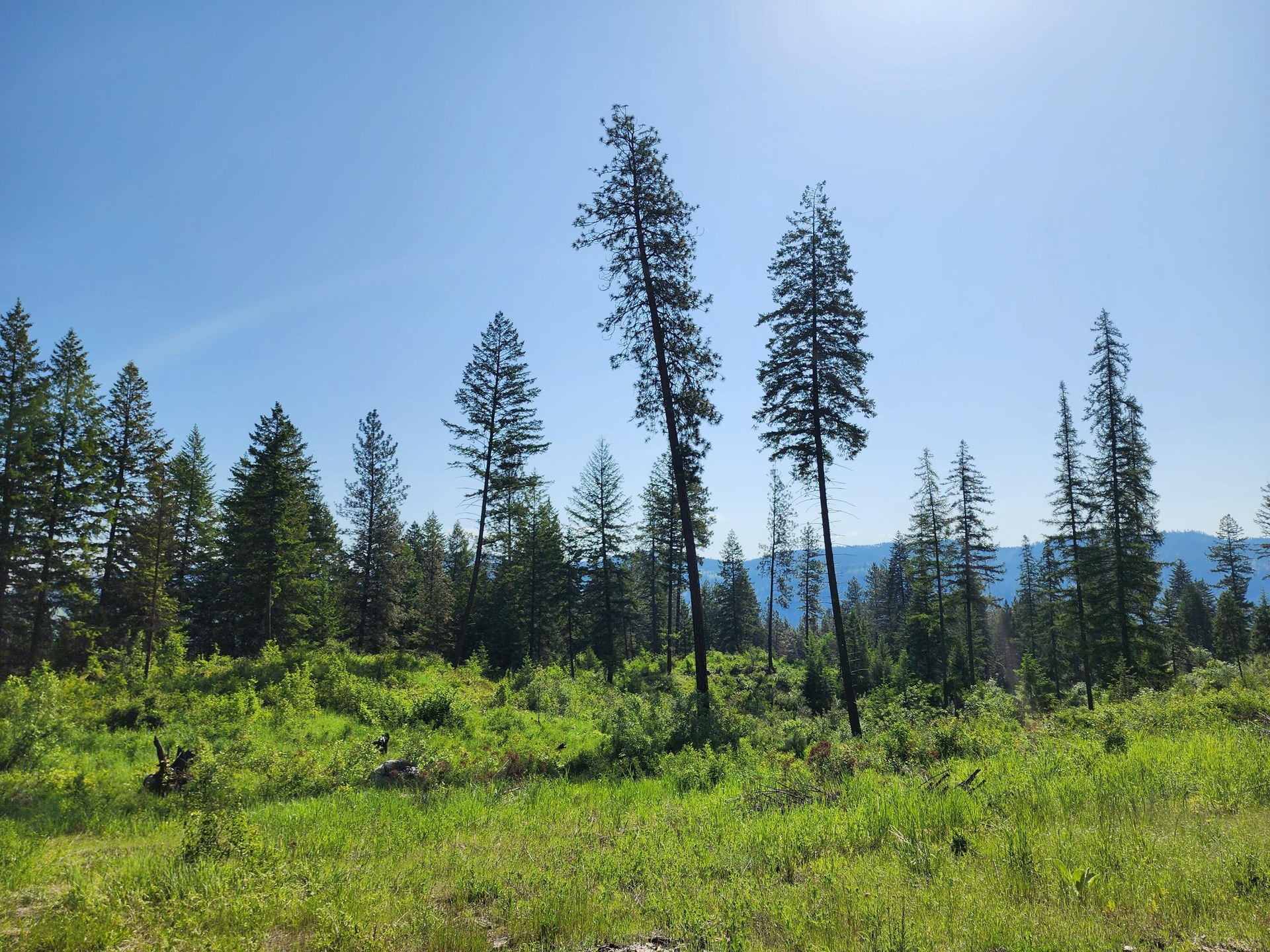 
                        Property photograph at
                        LOT 4 MATSEN CREEK RD
                      