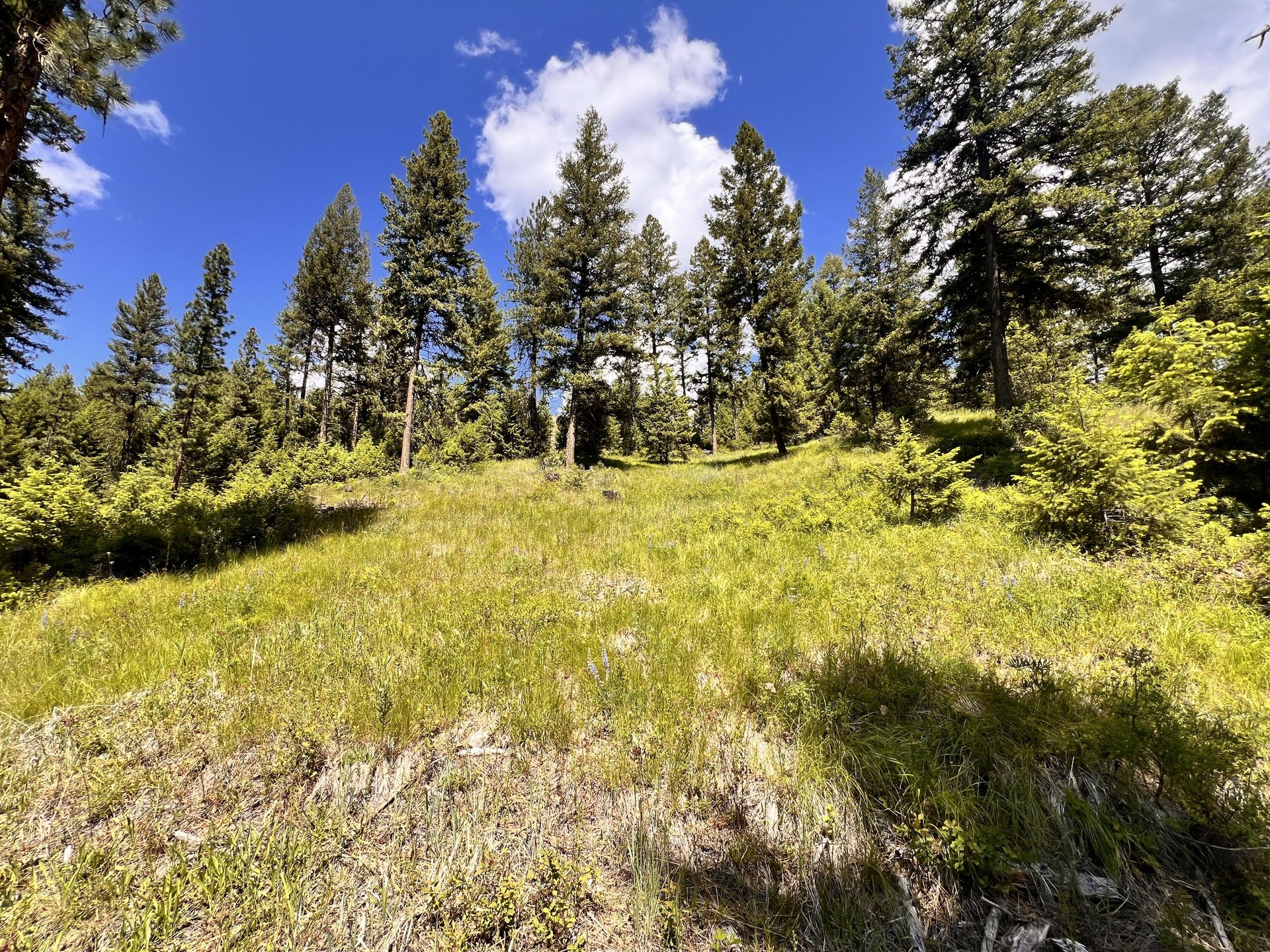 
                        Property photograph at
                        TBD OLD KETTLE FALLS RD
                      