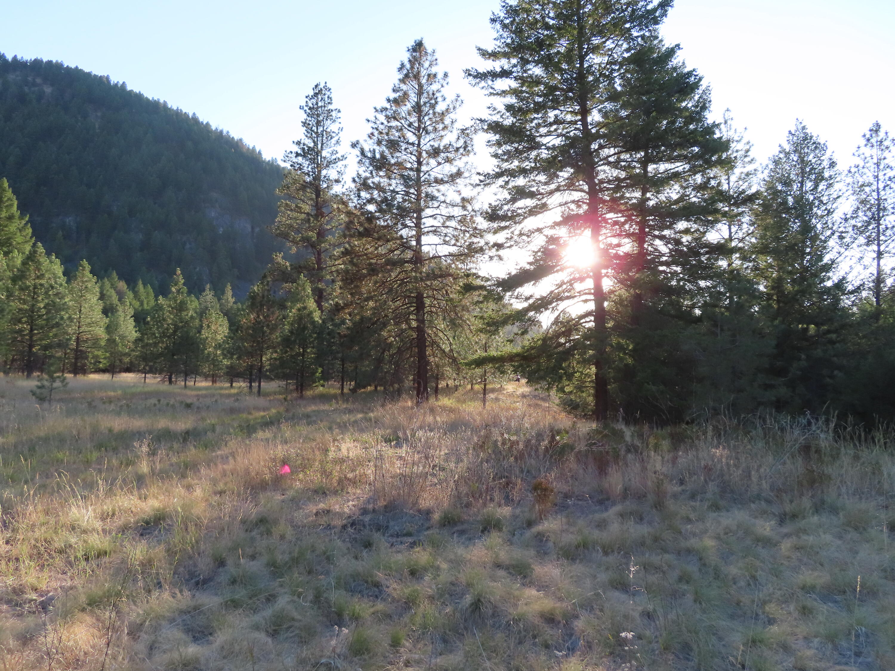 
                        Property photograph at
                        TBD TORODA CREEK RD
                      