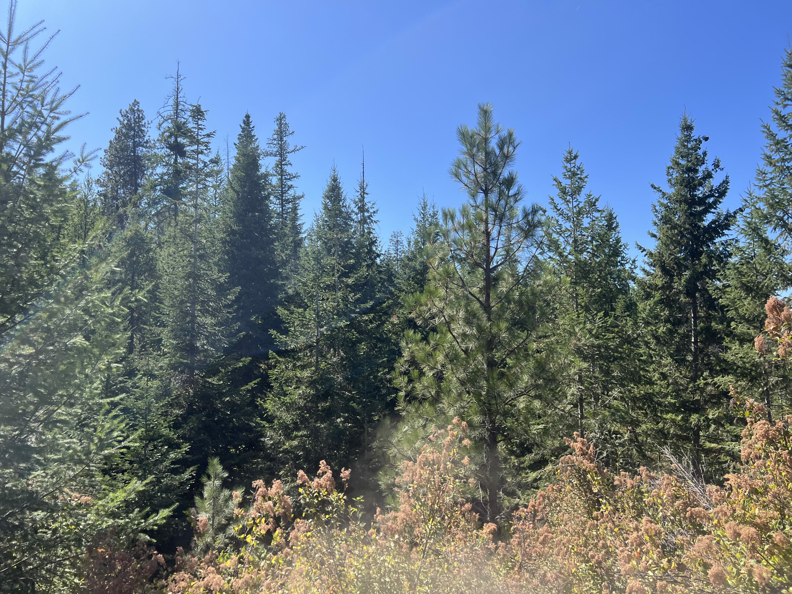 
                        Property photograph at
                        52XX LOT 5 S SWENSON RD
                      