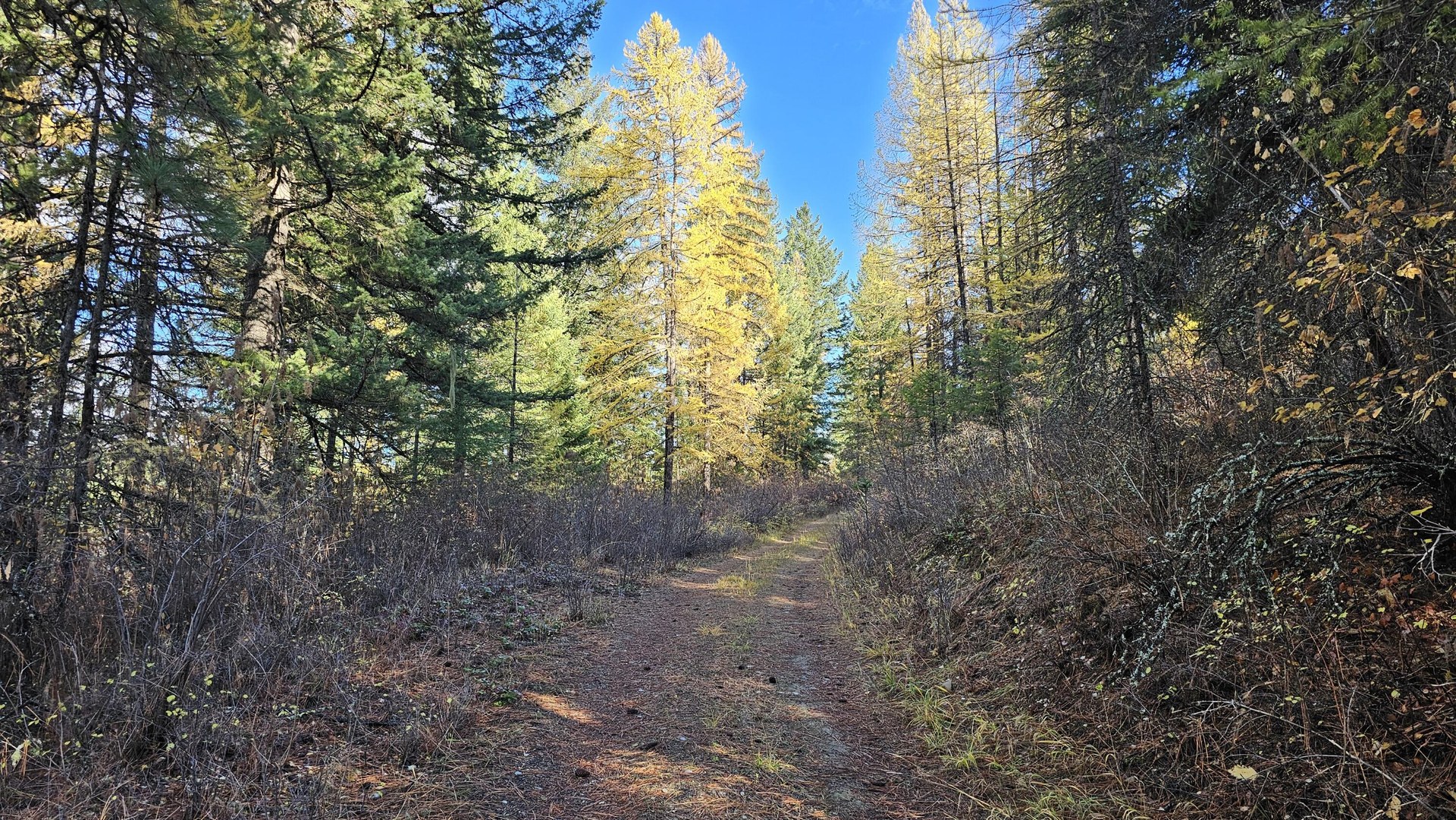 
                        Property photograph at
                        700 DRY GULCH RD
                      