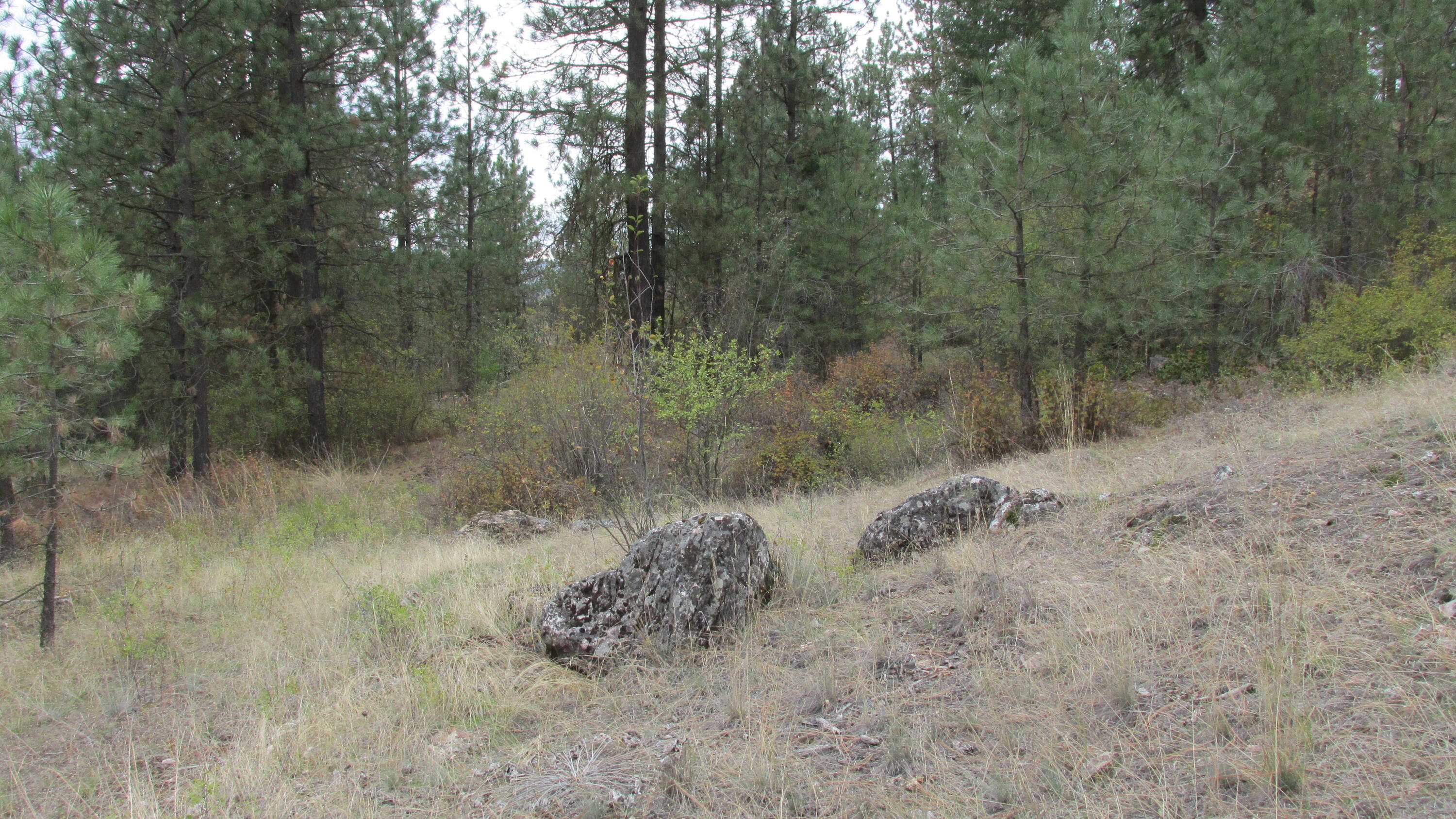 
                        Property photograph at
                        1525 HIGHWAY 395 S
                      