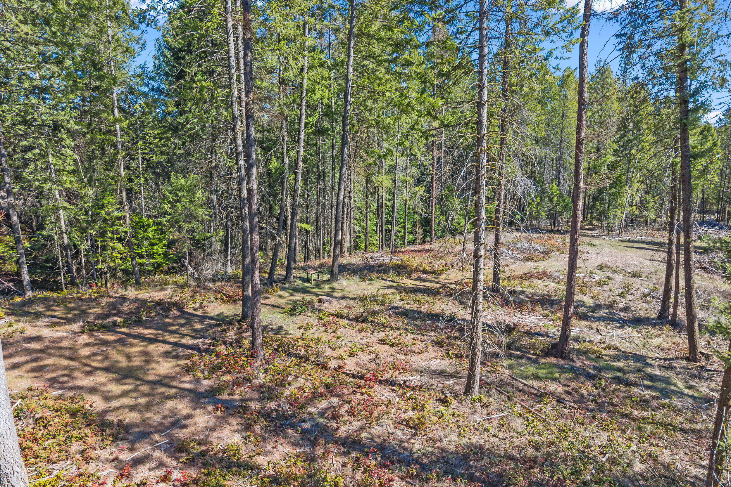 
                        Property photograph at
                        2068 ADDY-GIFFORD RD
                      