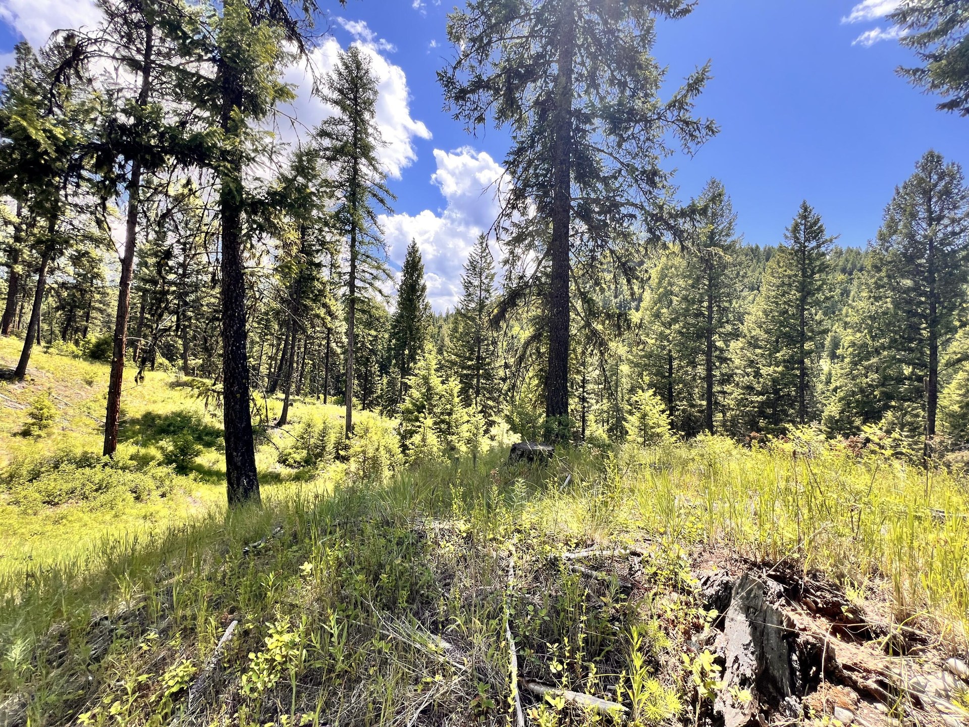 
                        Property photograph at
                        TBD OLD KETTLE FALLS RD
                      