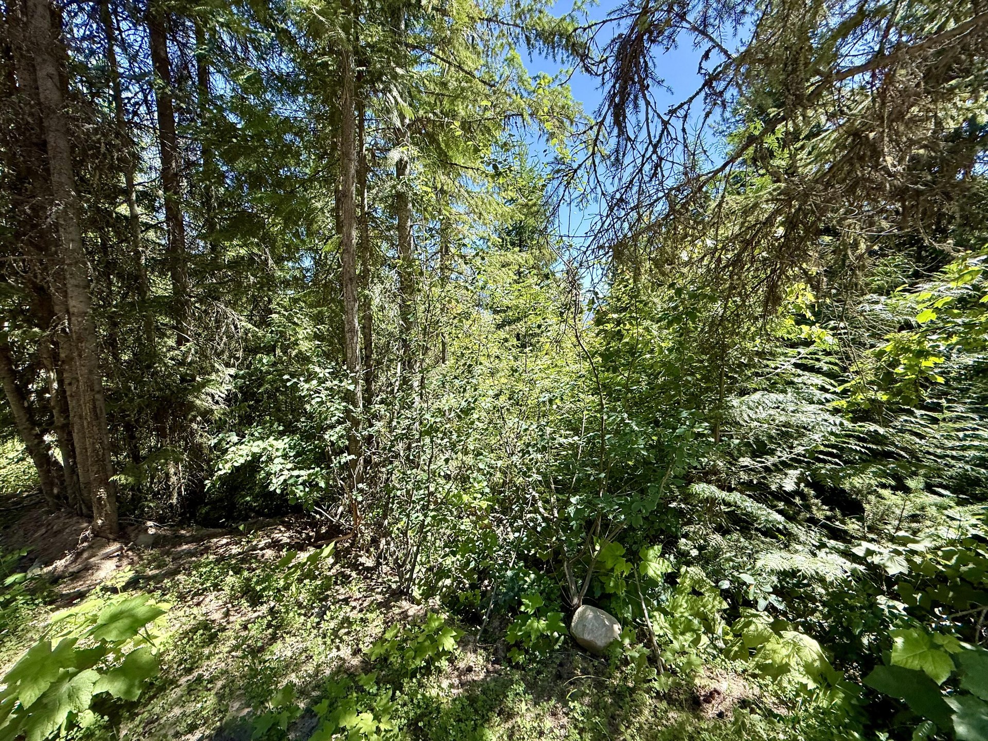 
                        Property photograph at
                        TBD PERELANDRA CIR
                      