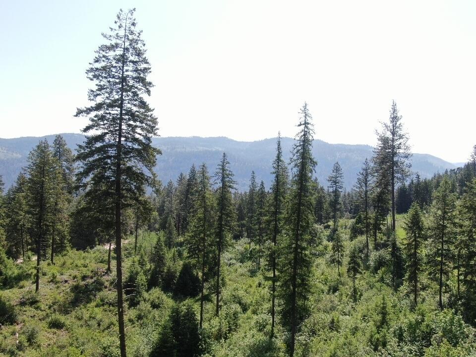 
                        Property photograph at
                        LOT 4 MATSEN CREEK RD
                      