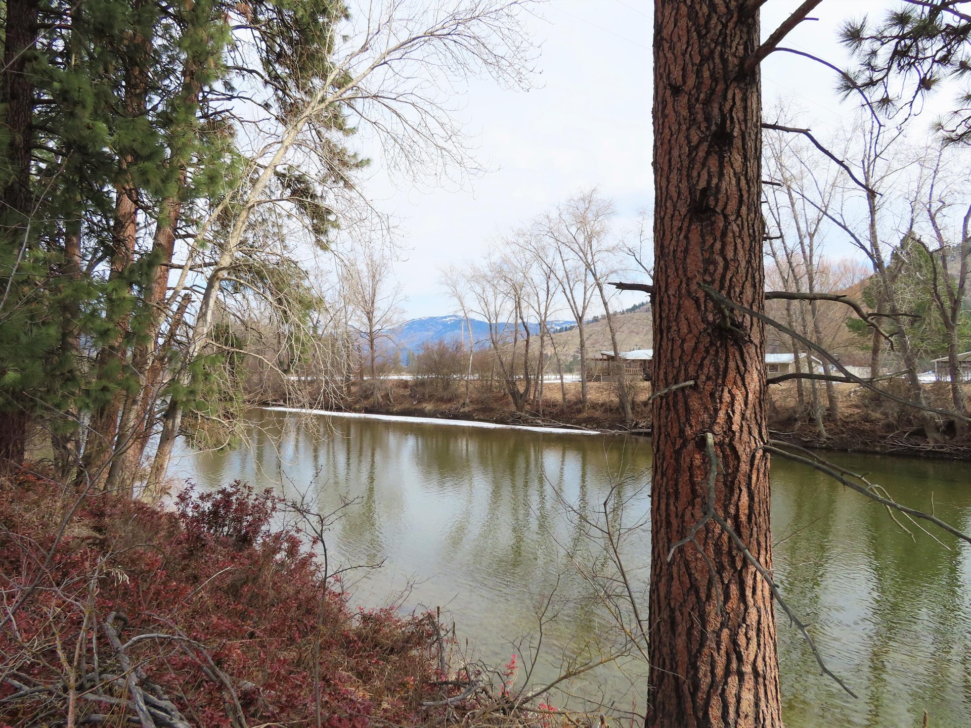 
                        Property photograph at
                        TBD HIGHWAY 21 N
                      